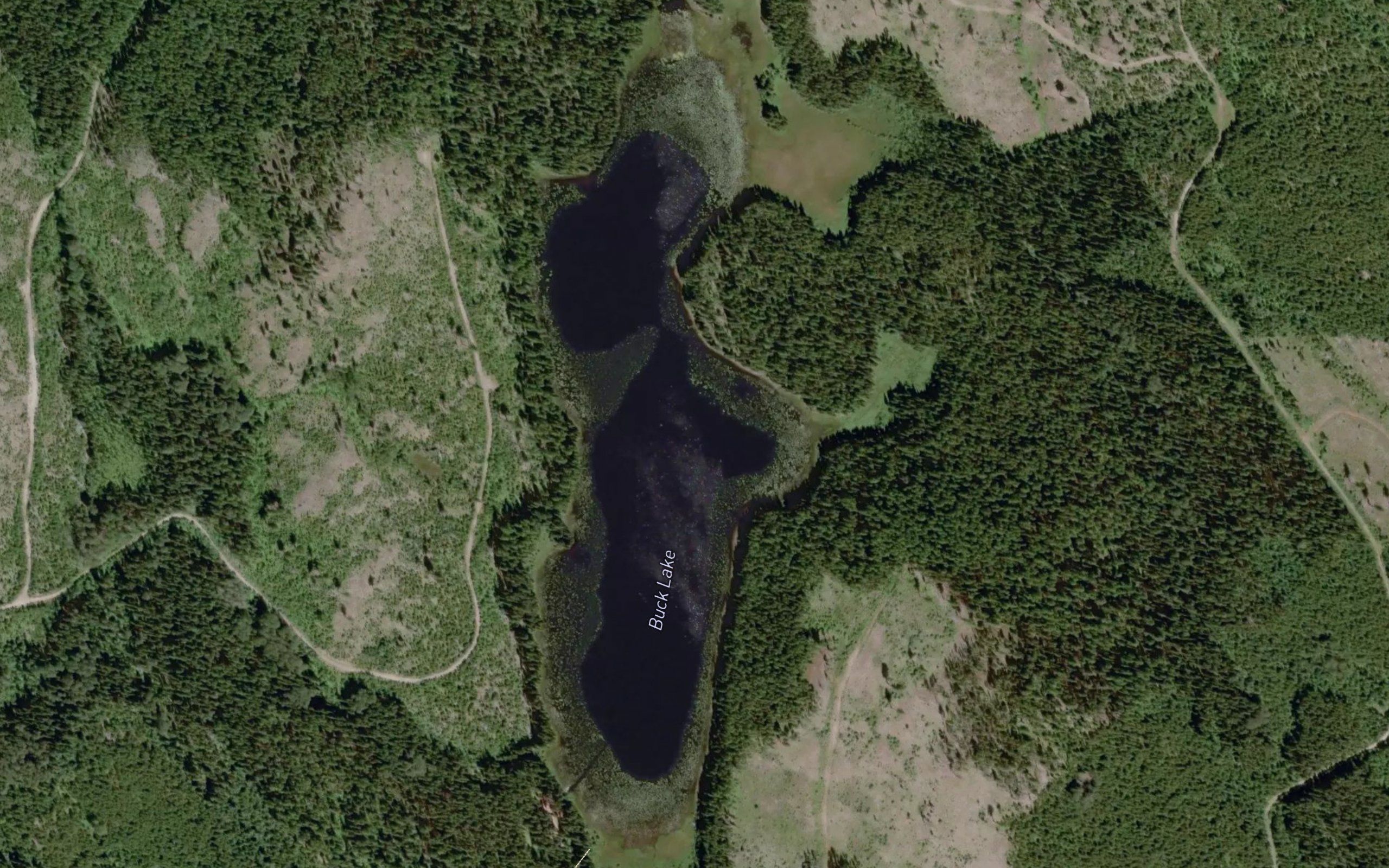 Buck Lake