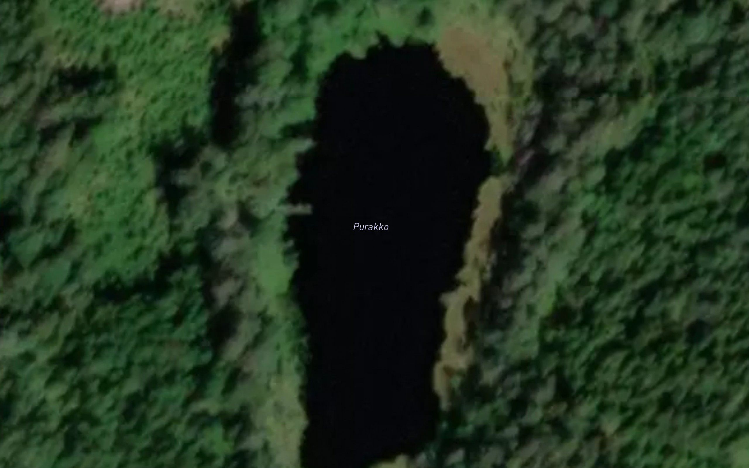 Purakko