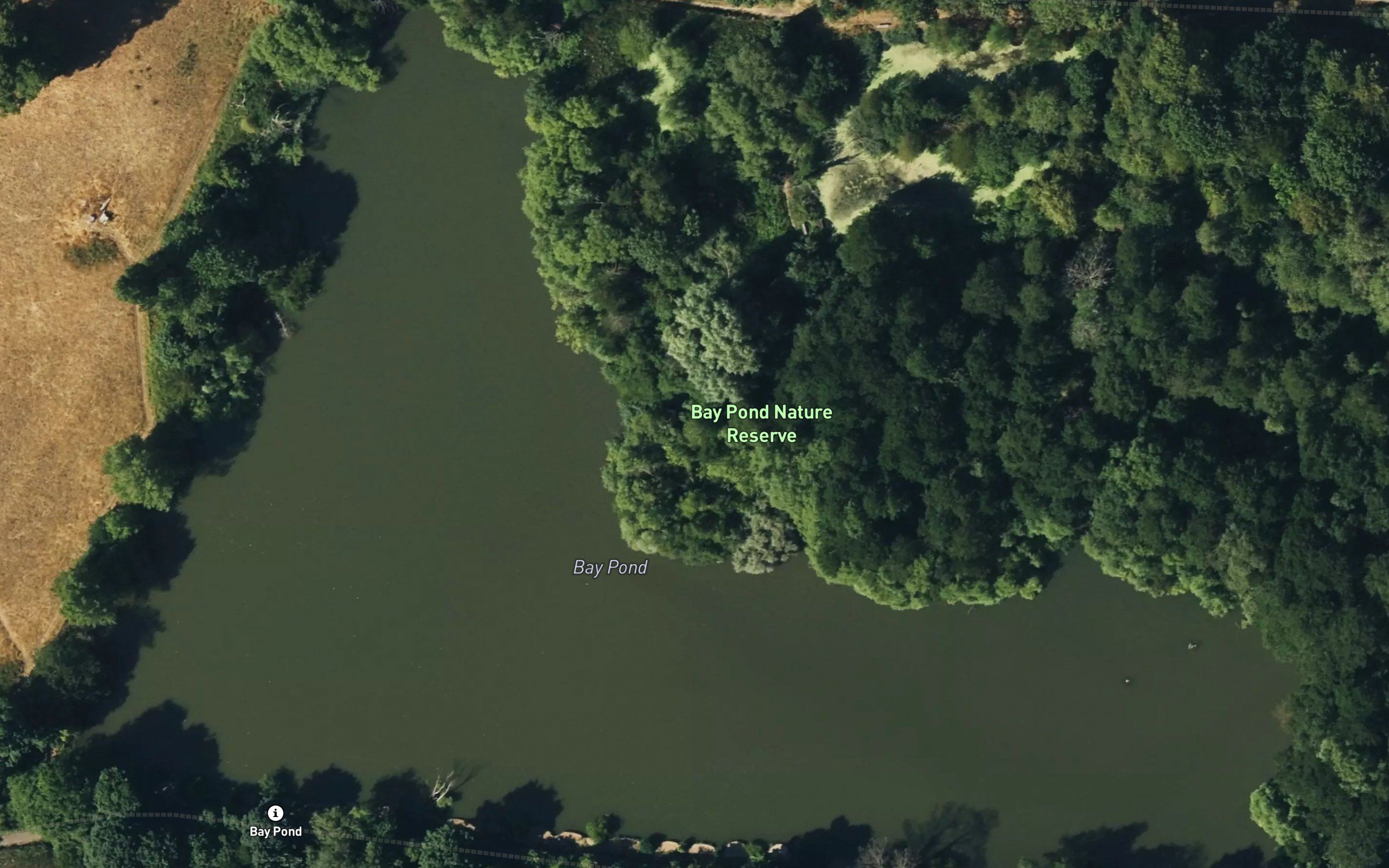 Bay Pond