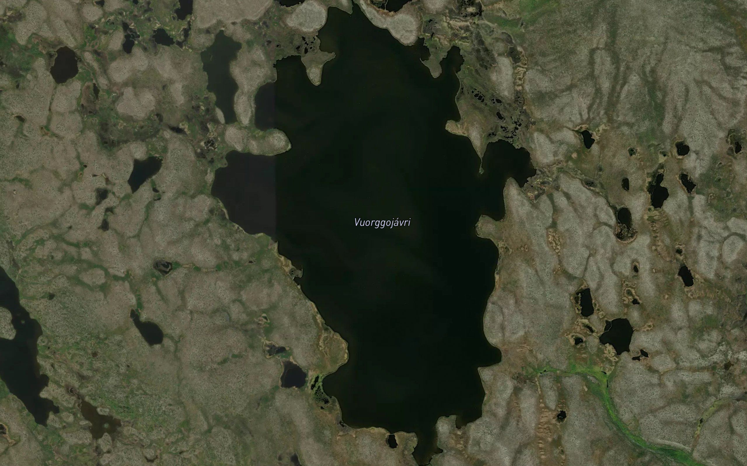 Vuorgujavri