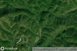 Bearpen Branch