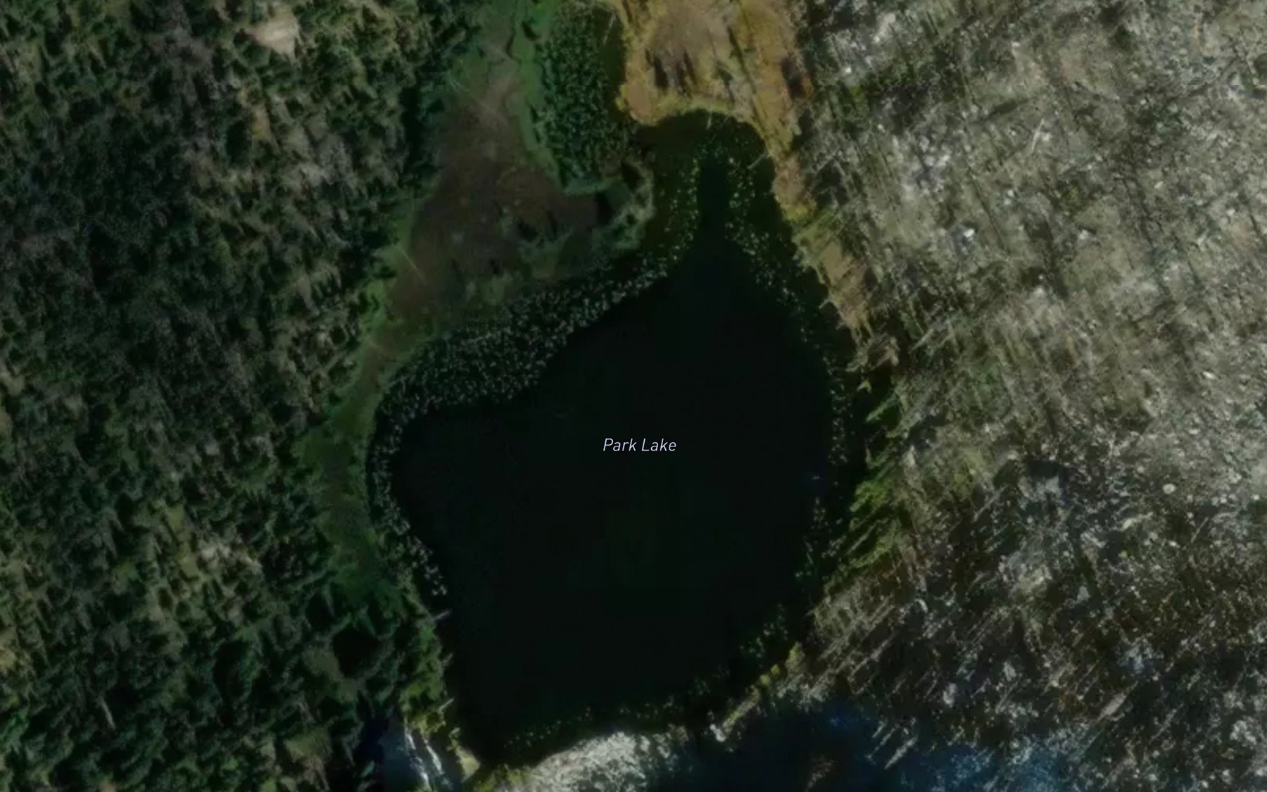 Satellite map of the Park Lake