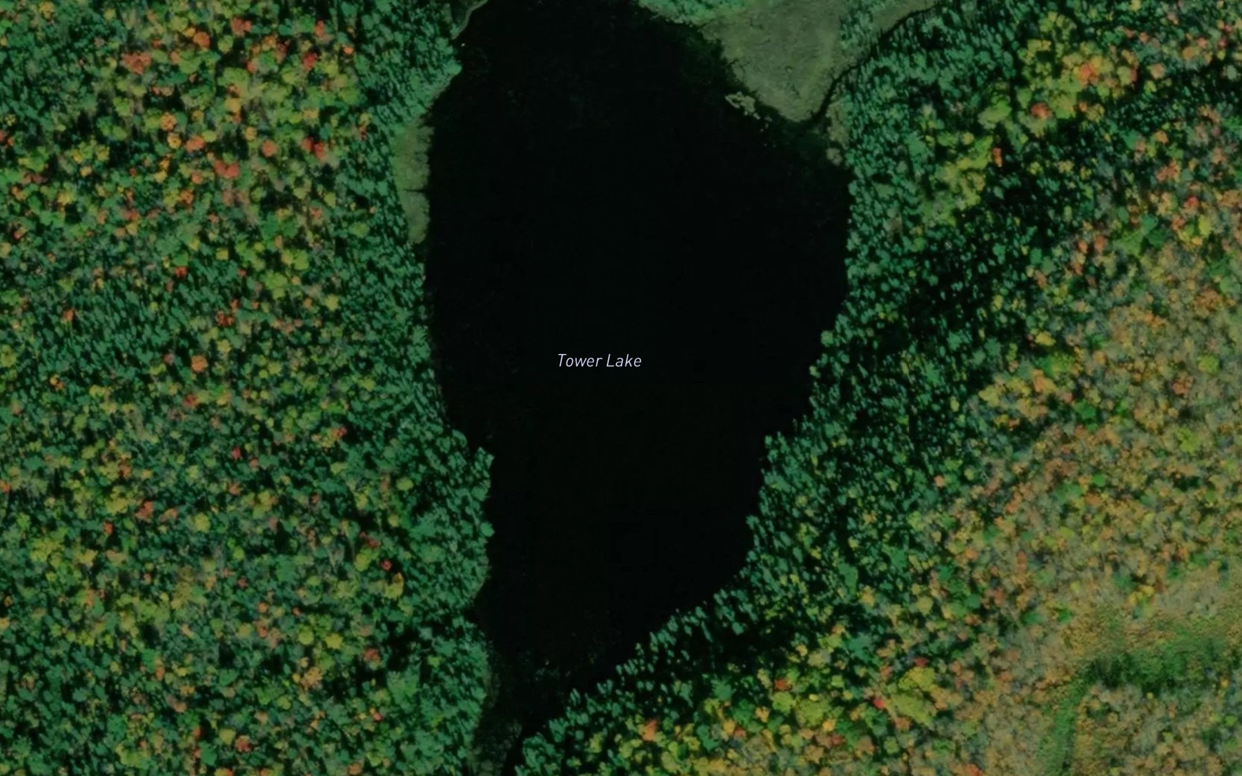 Satellite map of the Tower Lake