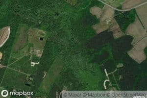 North Fork Blackwater Swamp