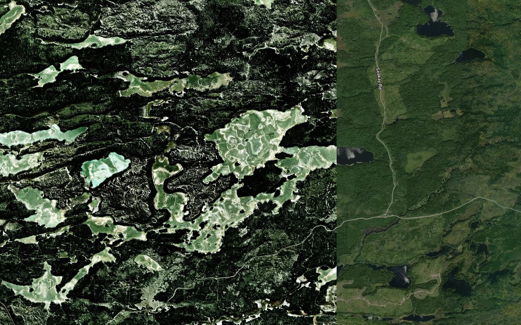 Satellite map of the Surprise Lake