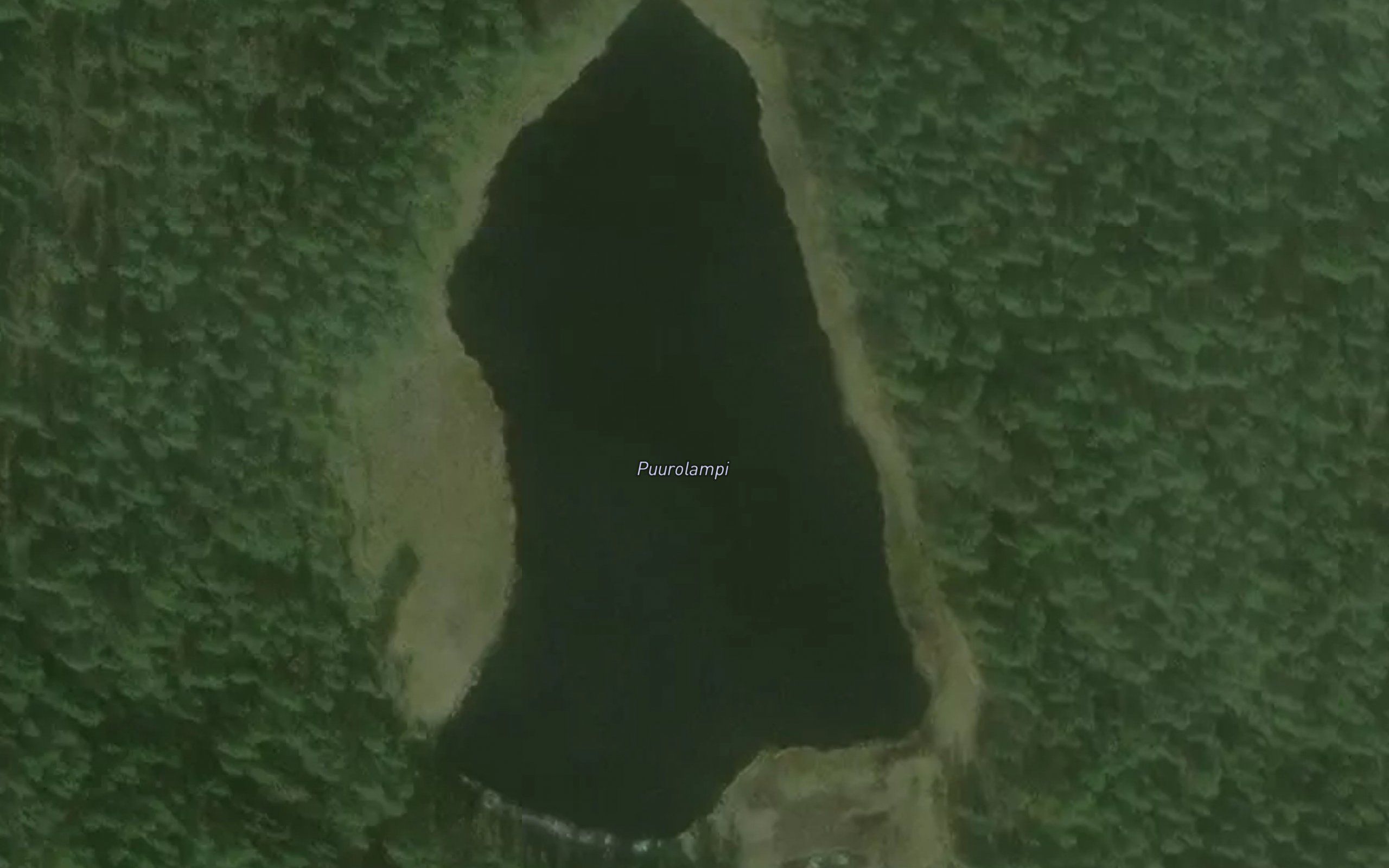 Puurolampi