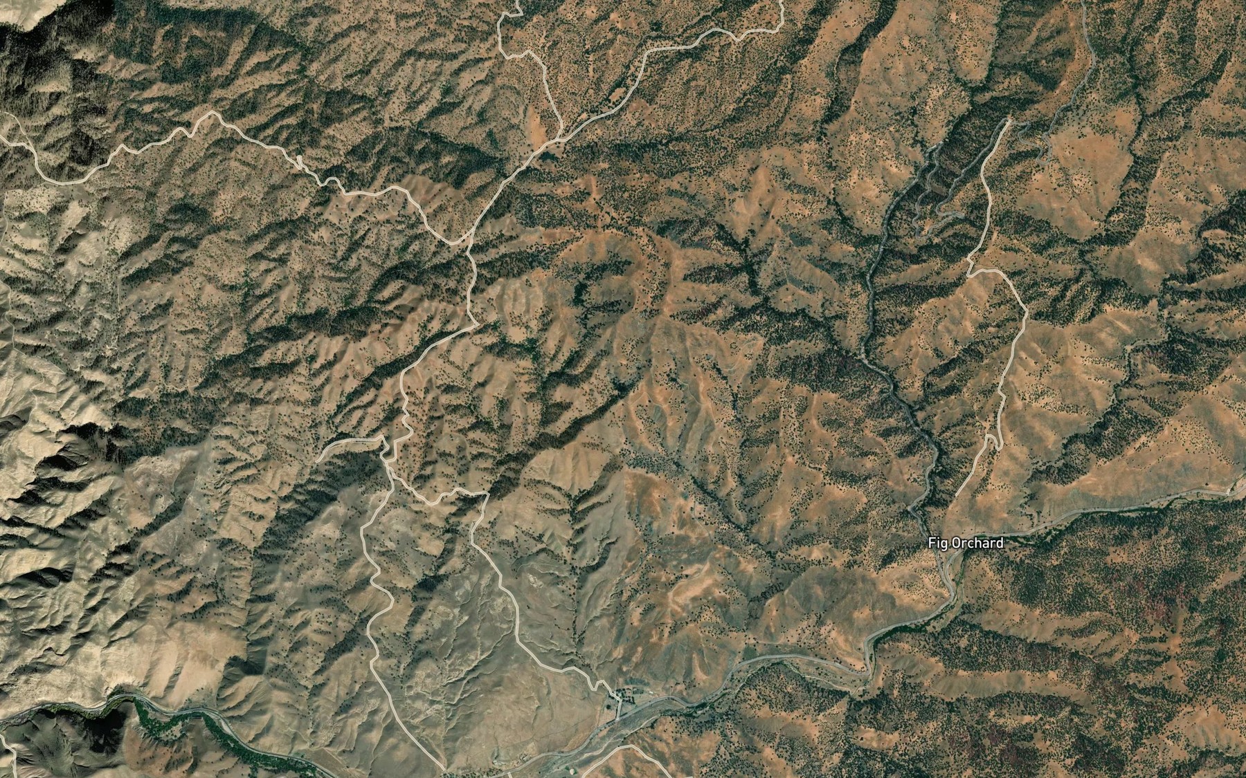 Satellite map of the Palmer Spring