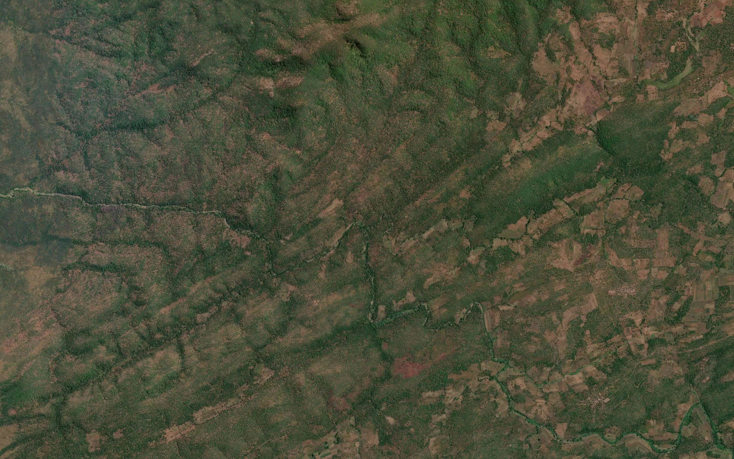 Singozi