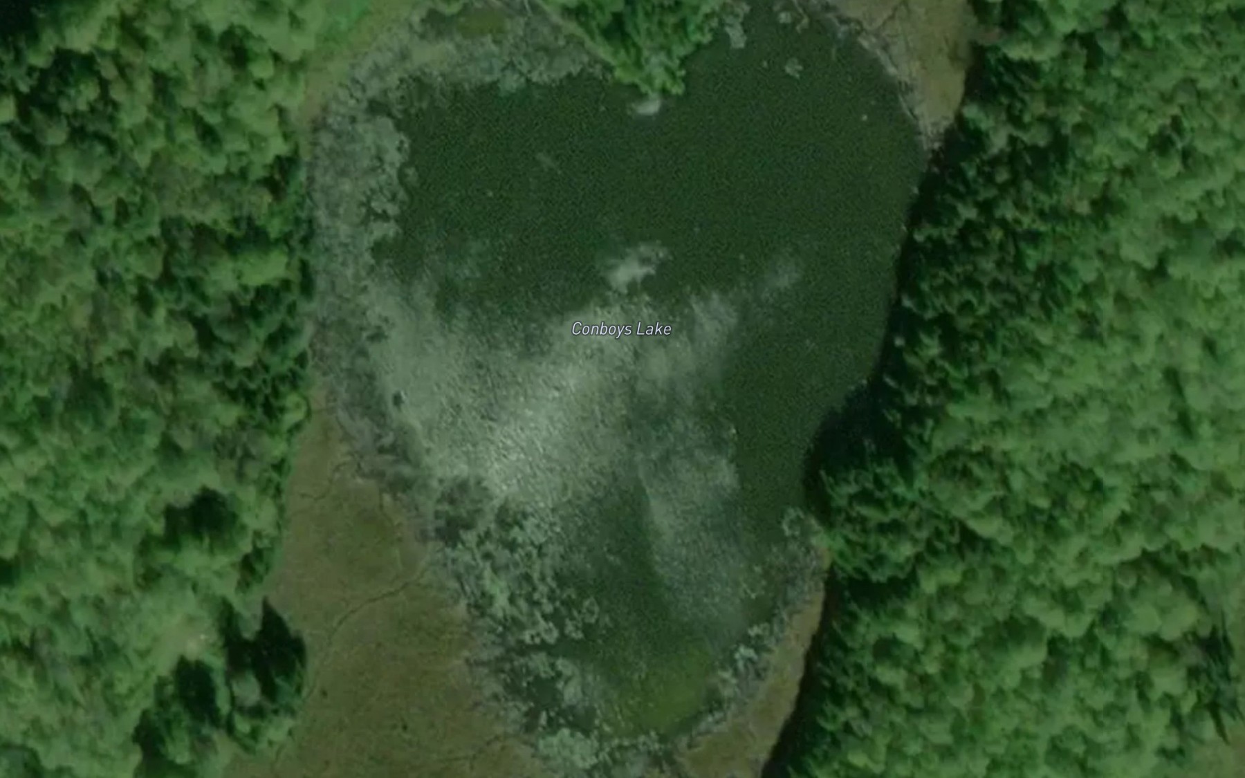 Satellite map of the Conboys Lake