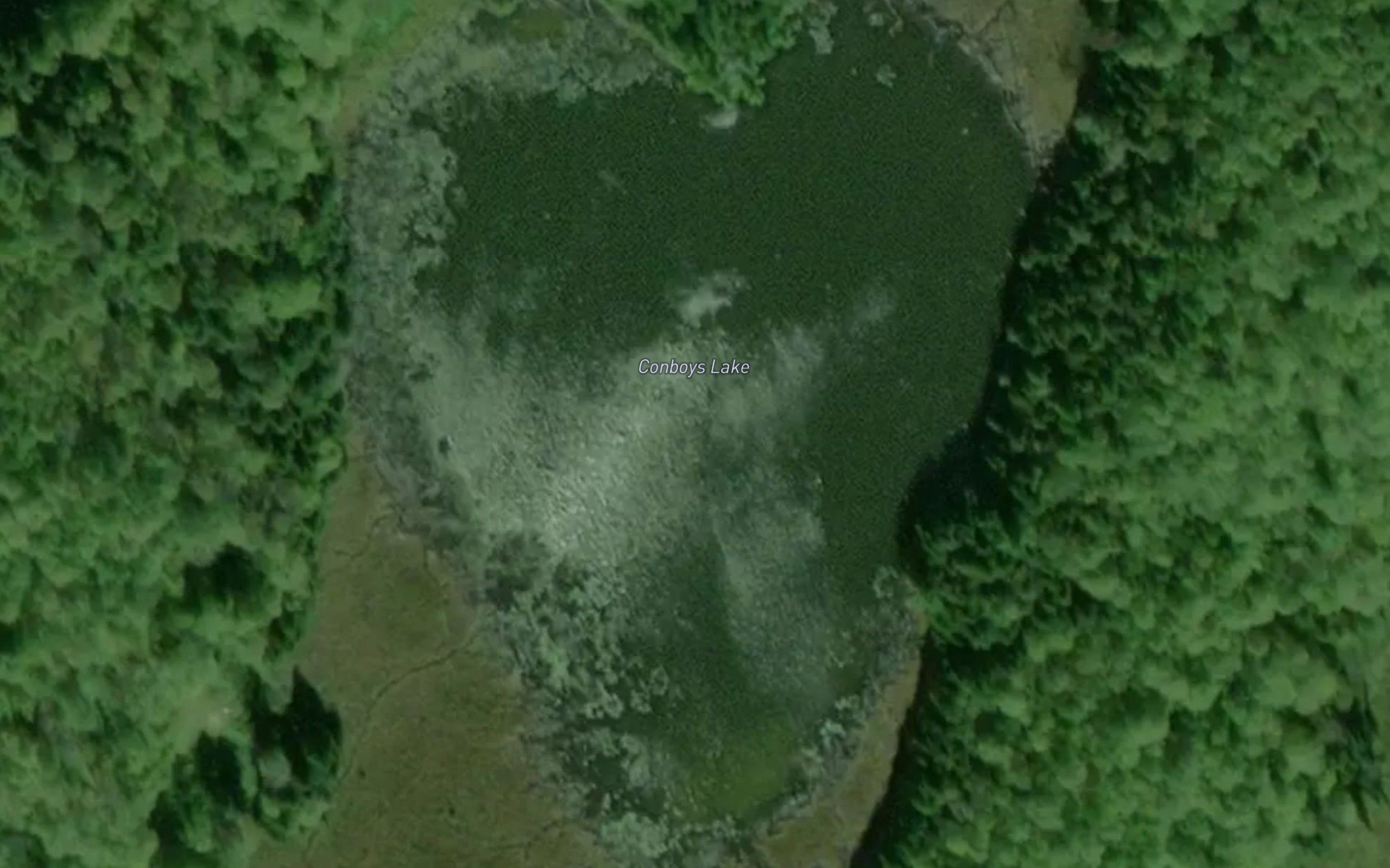 Conboys Lake
