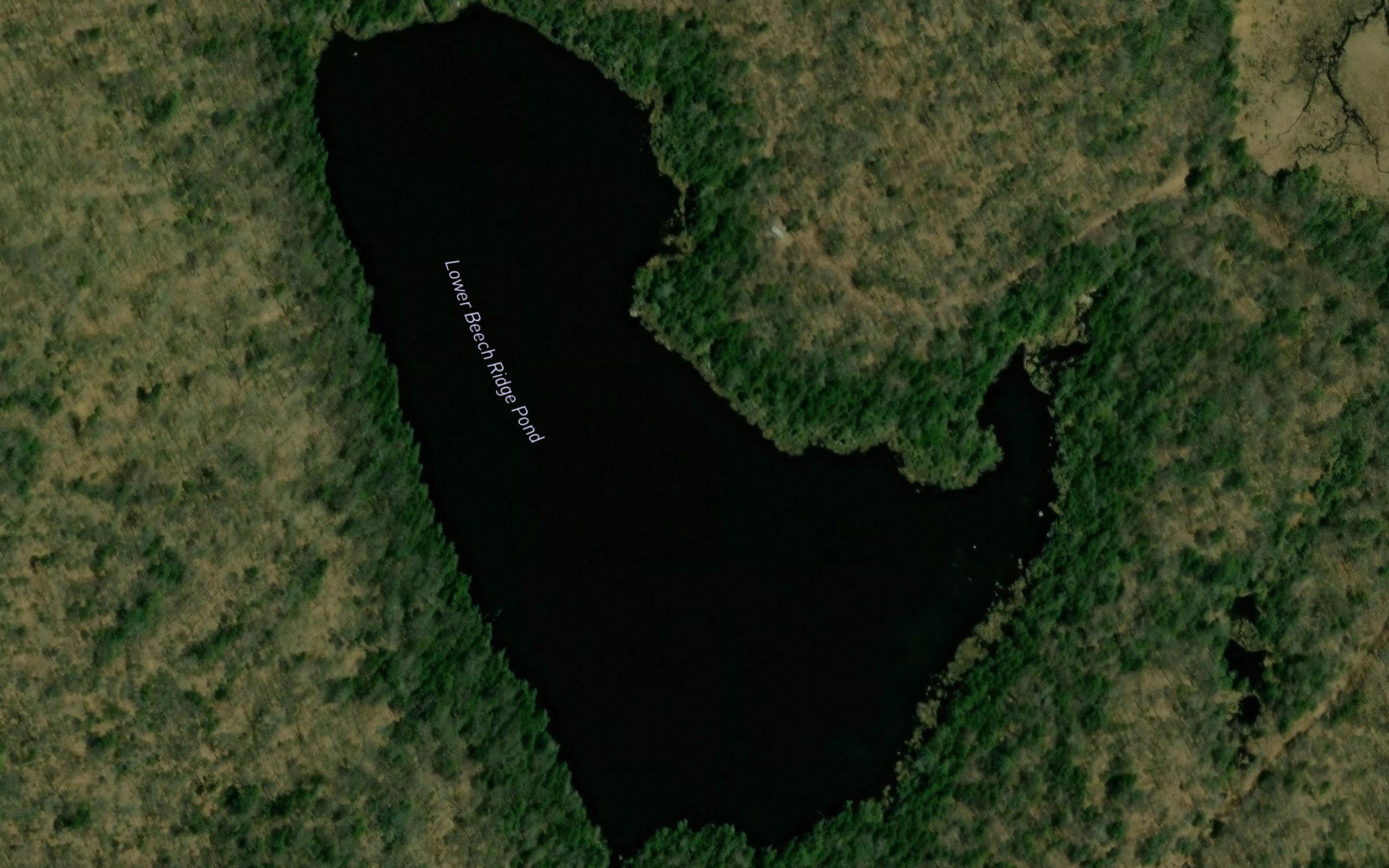 Lower Beech Ridge Pond
