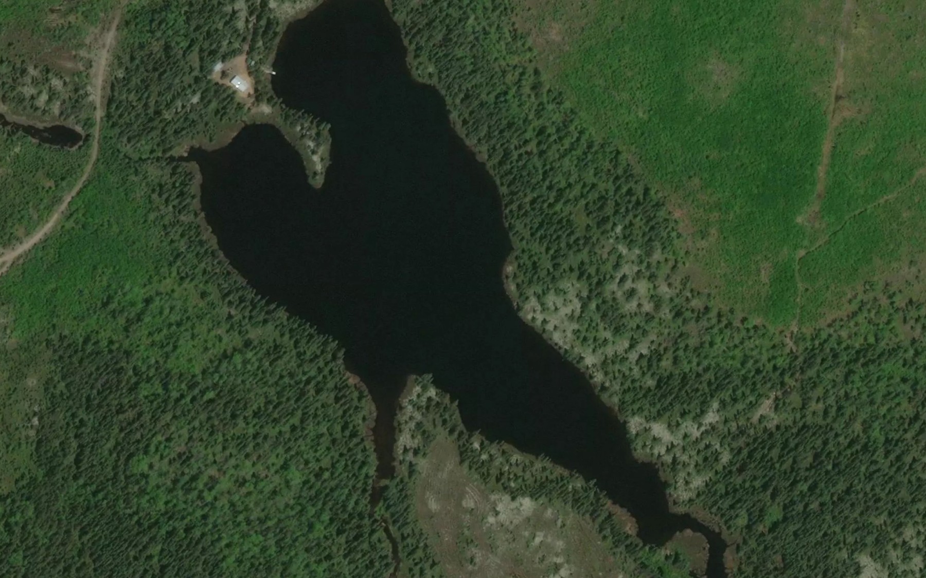 Satellite map of the Lac du Coeur
