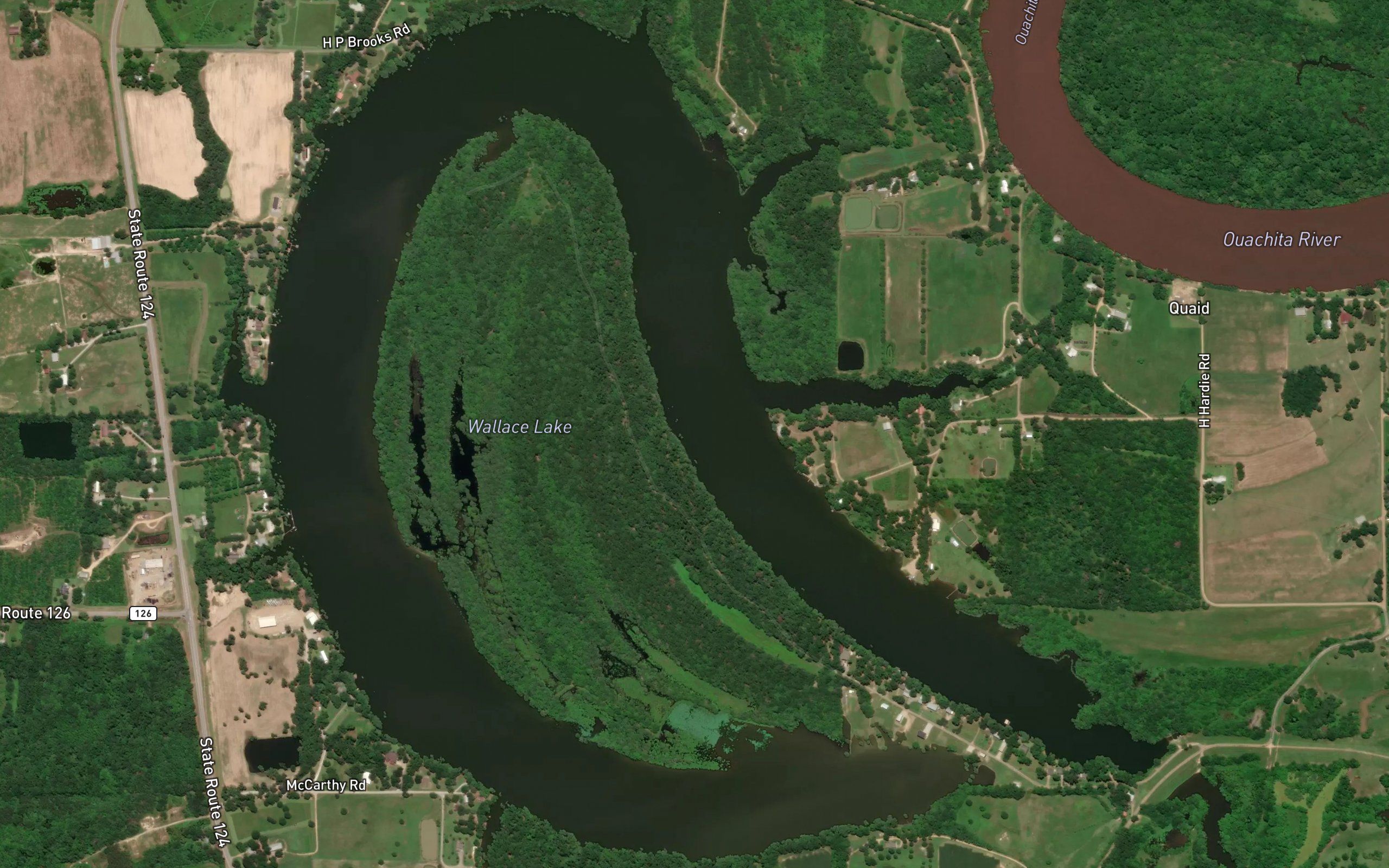 Wallace Lake