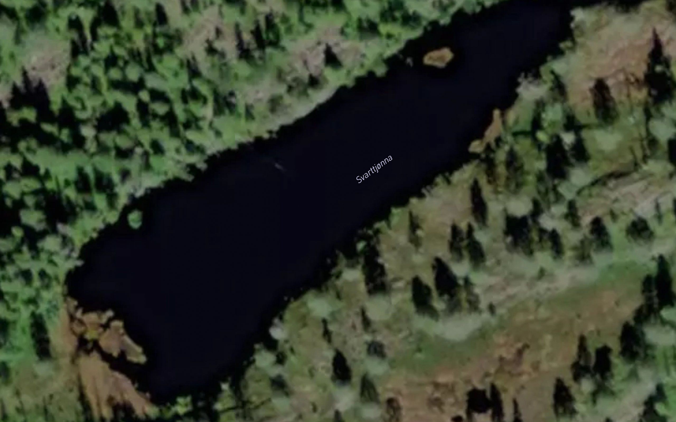 Svarttjonna