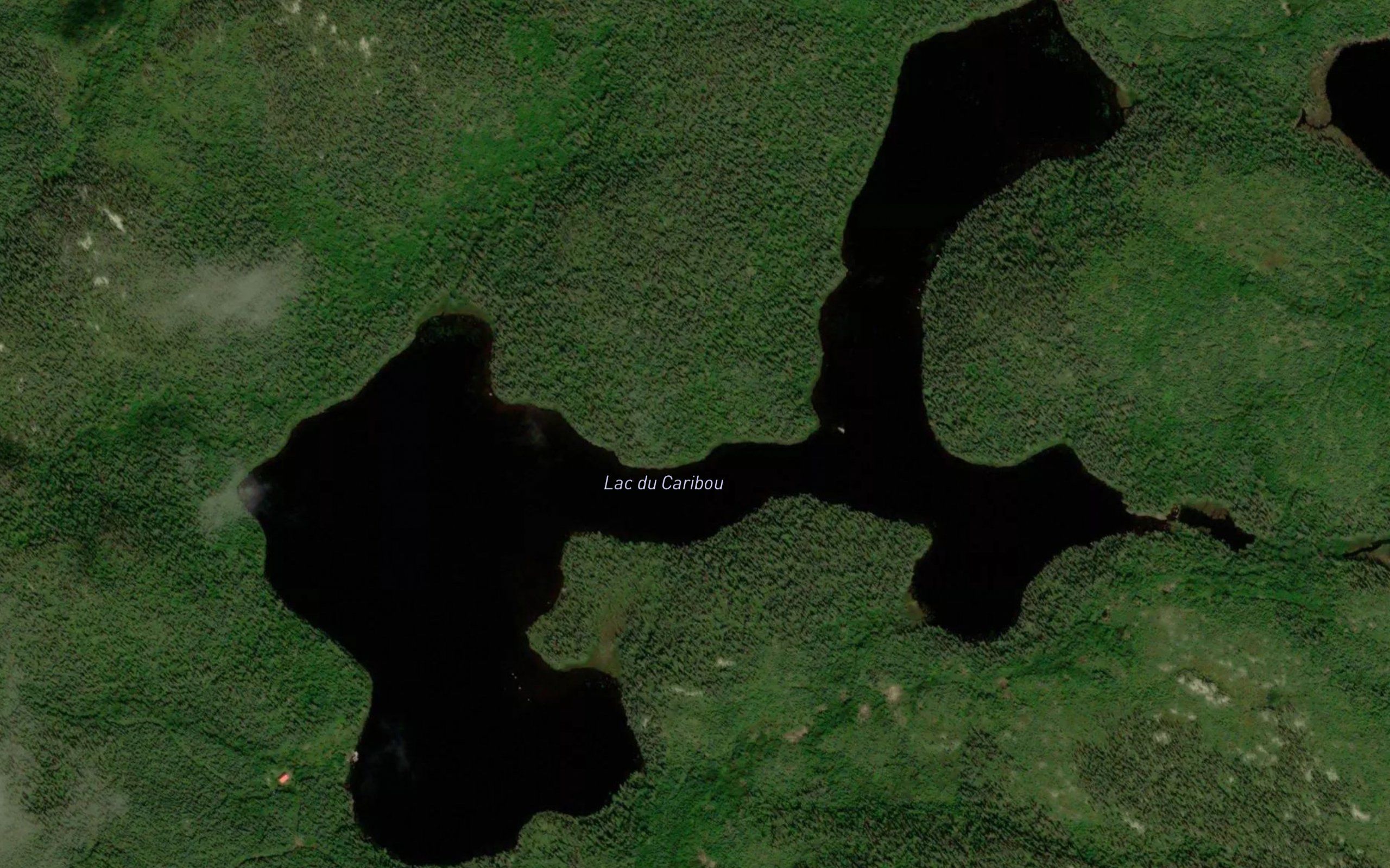 Lac du Caribou
