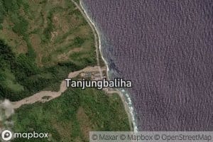 Wai Tanjung