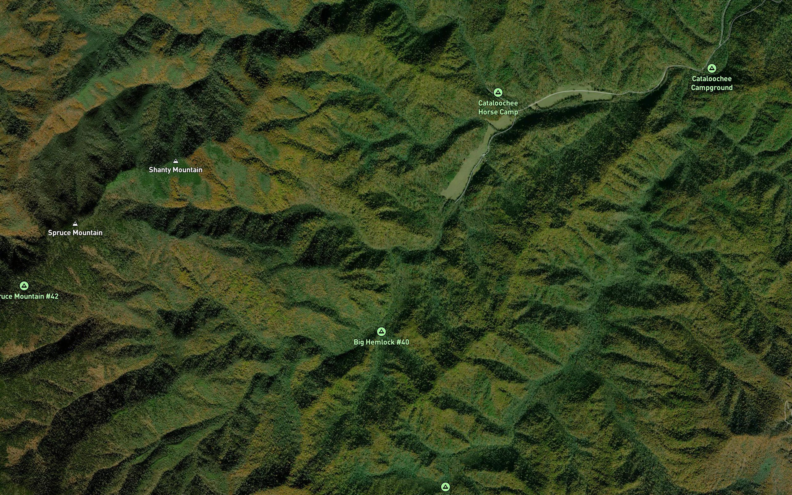 Messer Fork