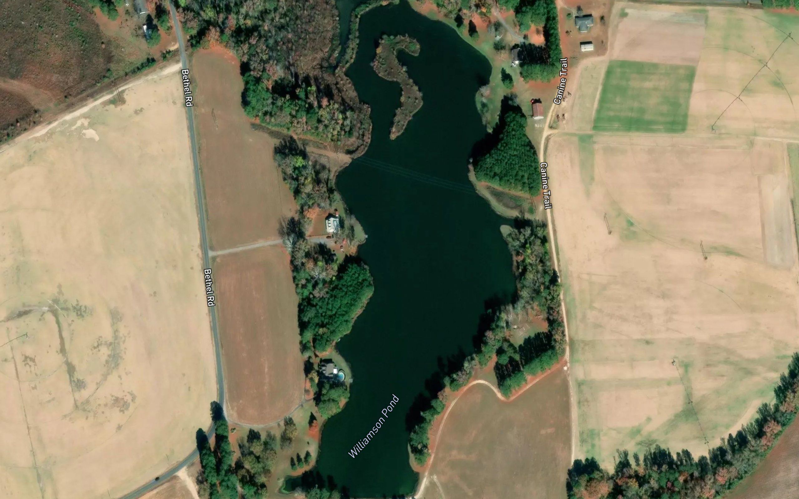 Williamson Pond