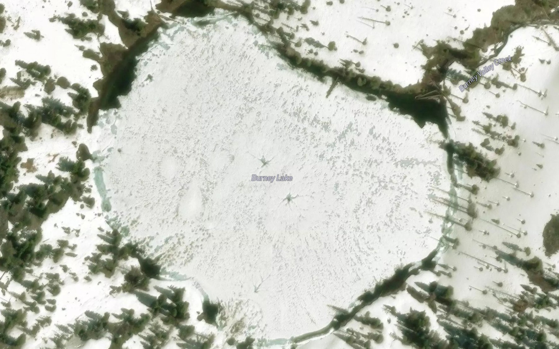 Satellite map of the Burney Lake