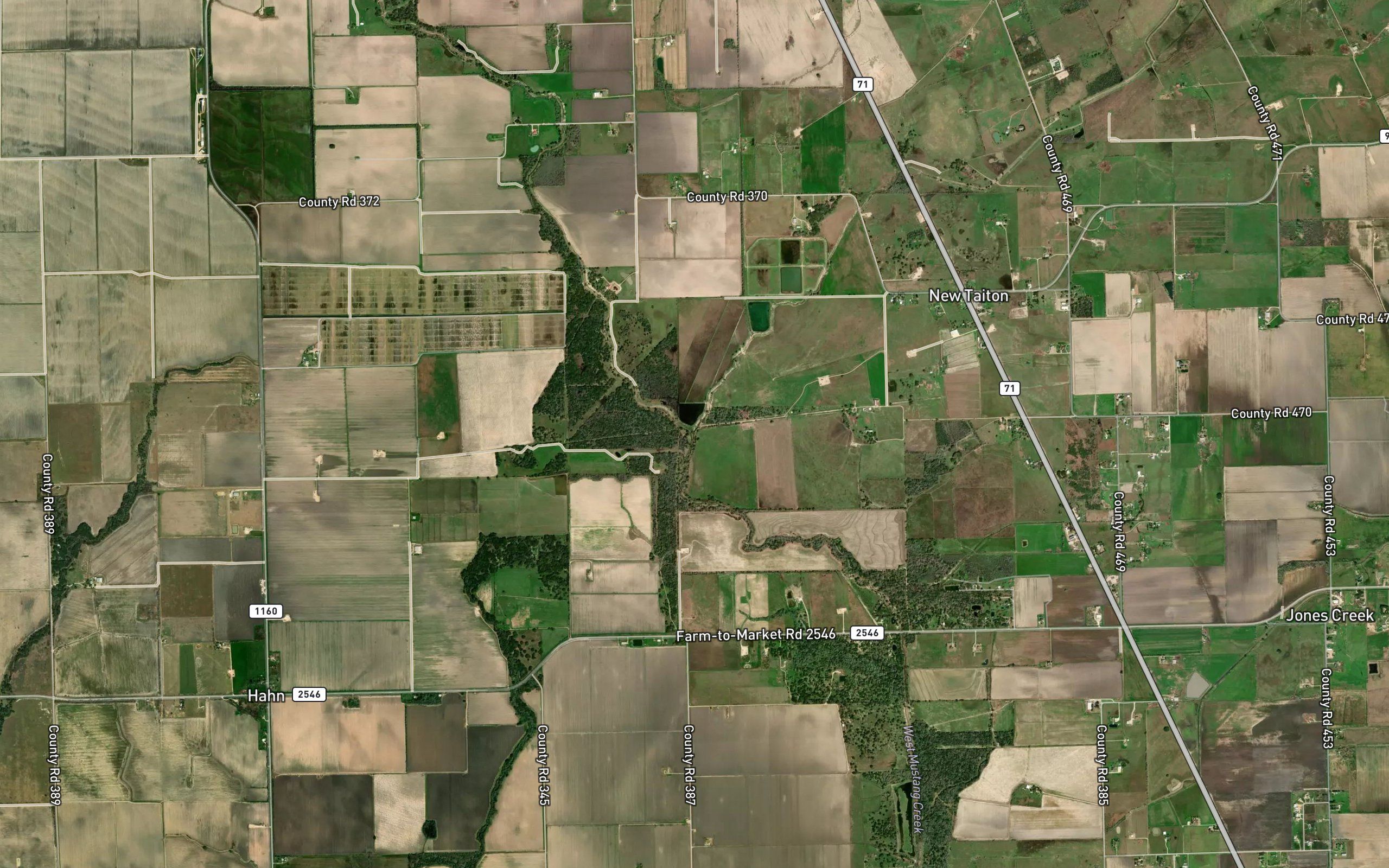 Mott Slough