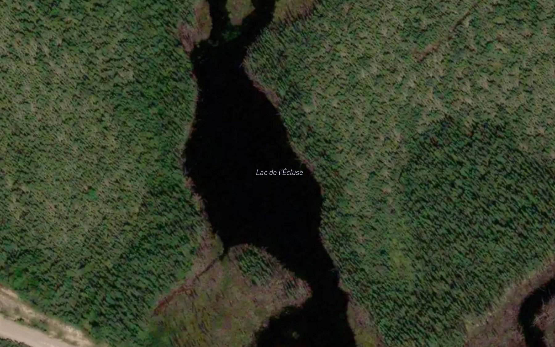 Satellite map of the Lac de l'Ecluse