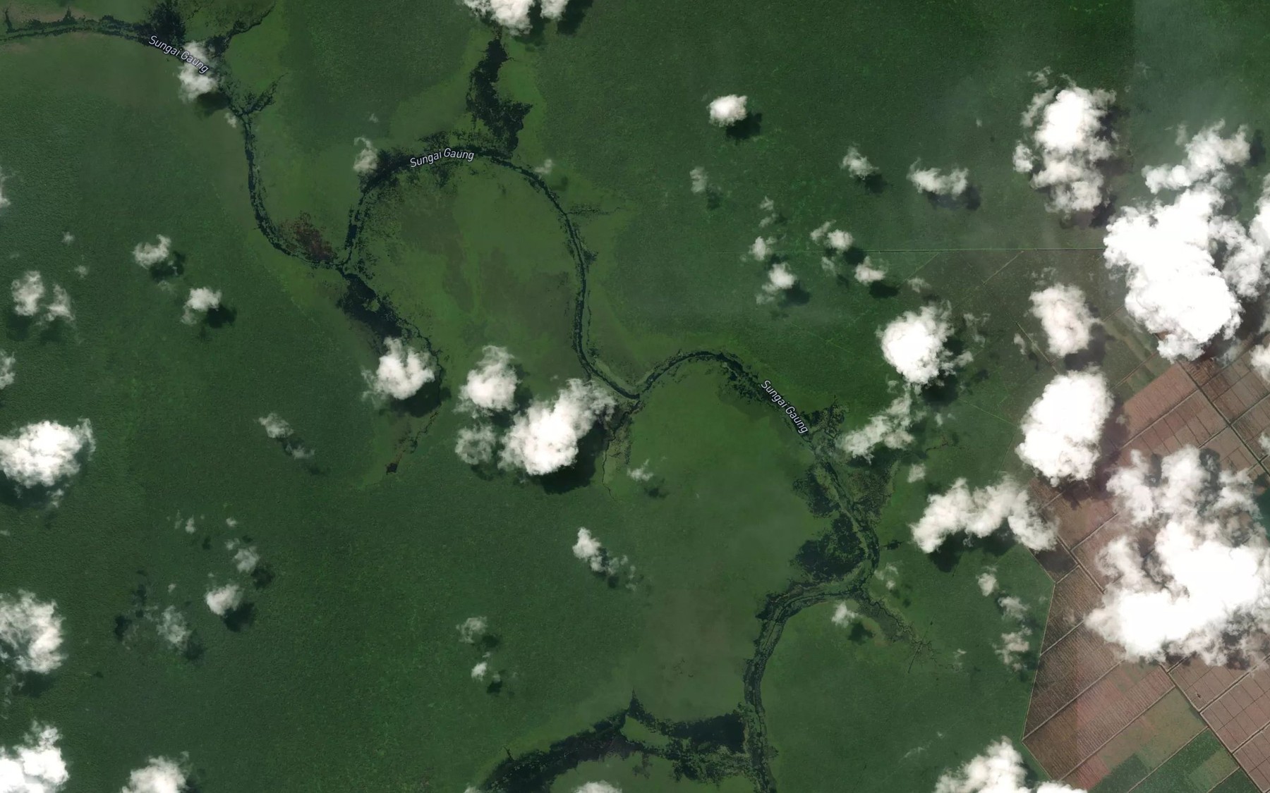 Satellite map of the Sungai Dangsalih