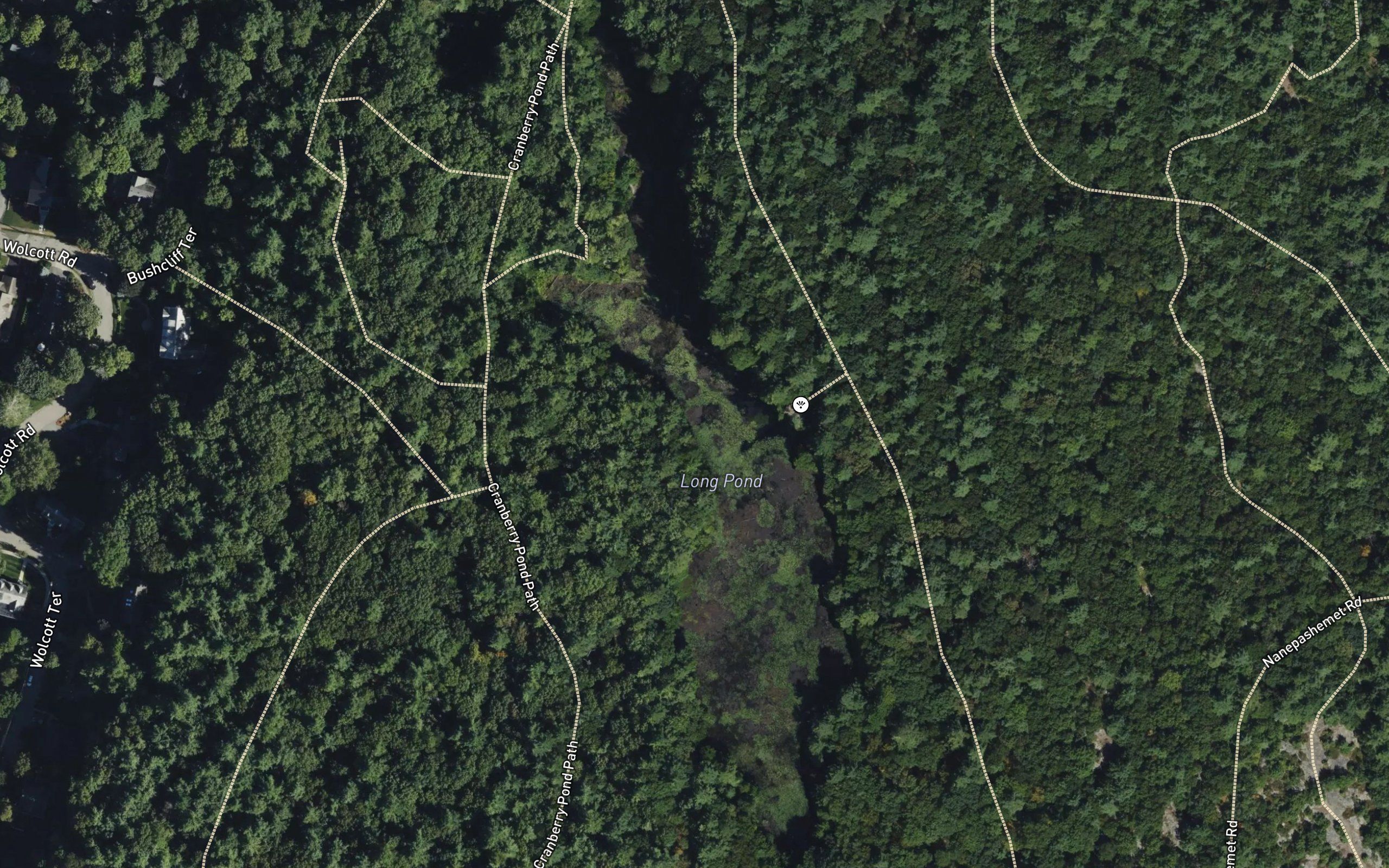 Long Pond