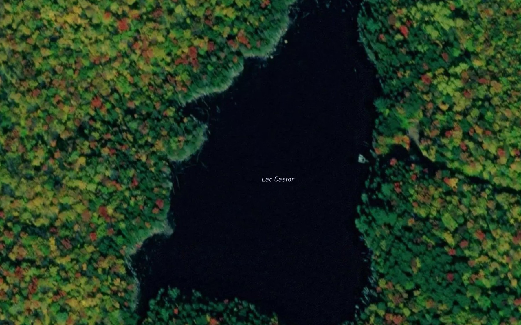 Satellite map of the Lac des Alarie
