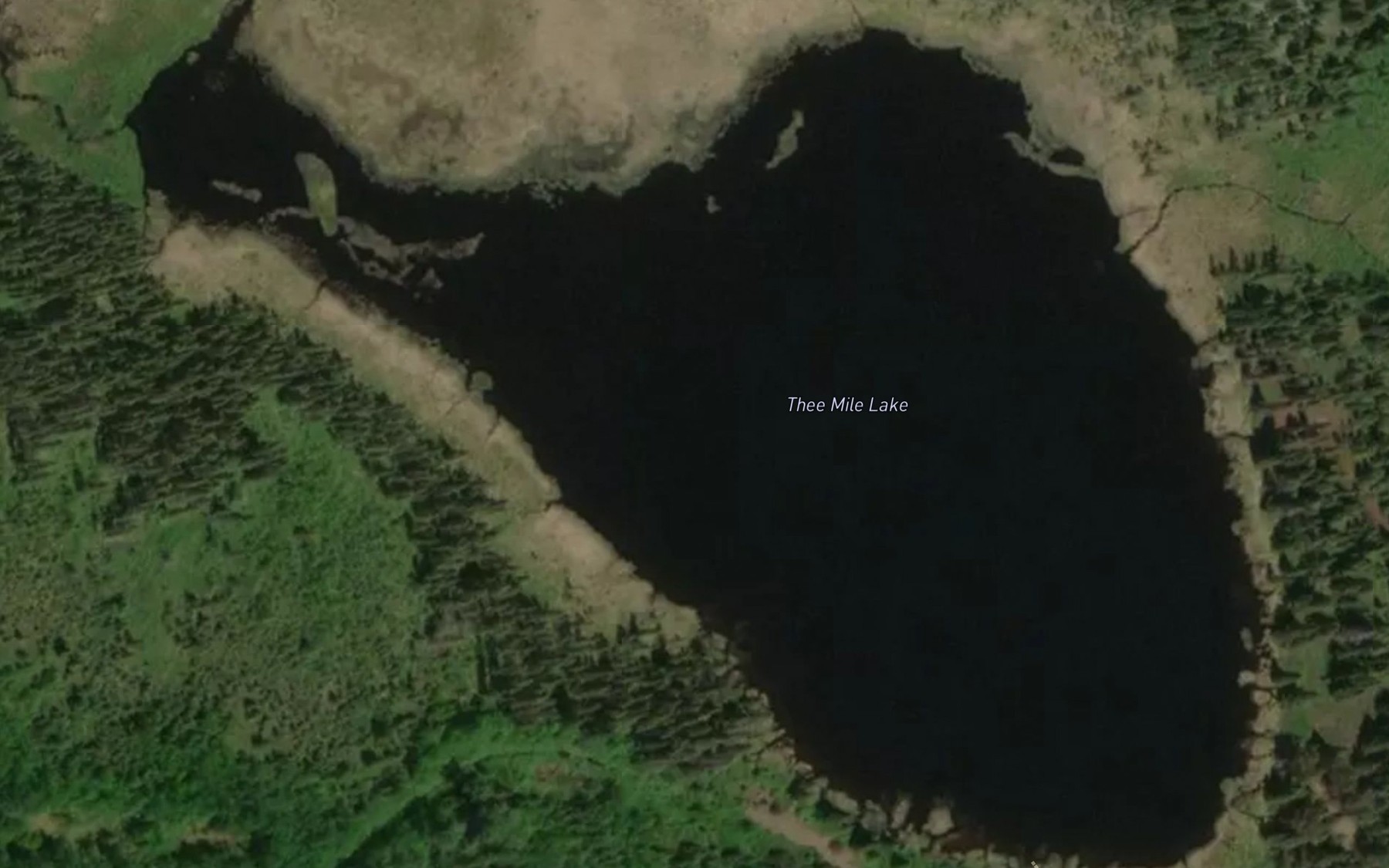 Satellite map of the Three Mile Lake