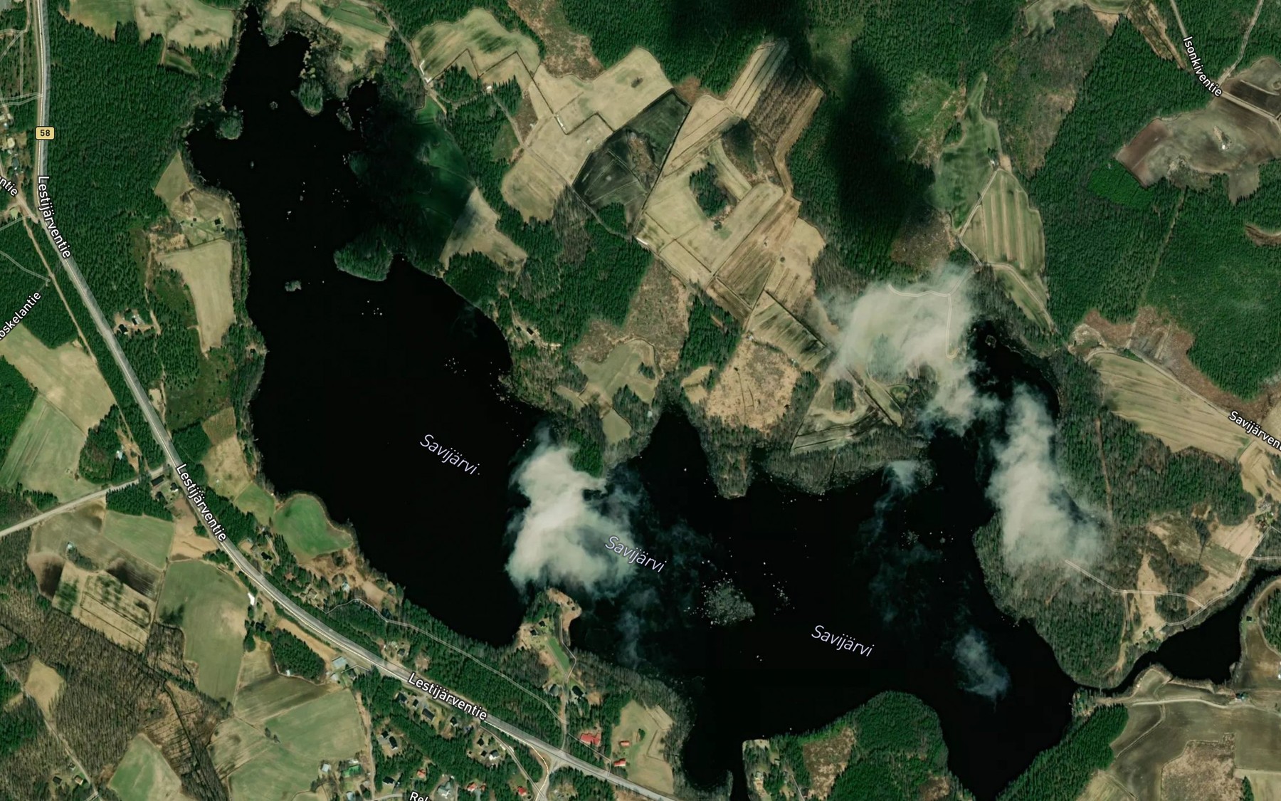 Satellite map of the Pitkalahti