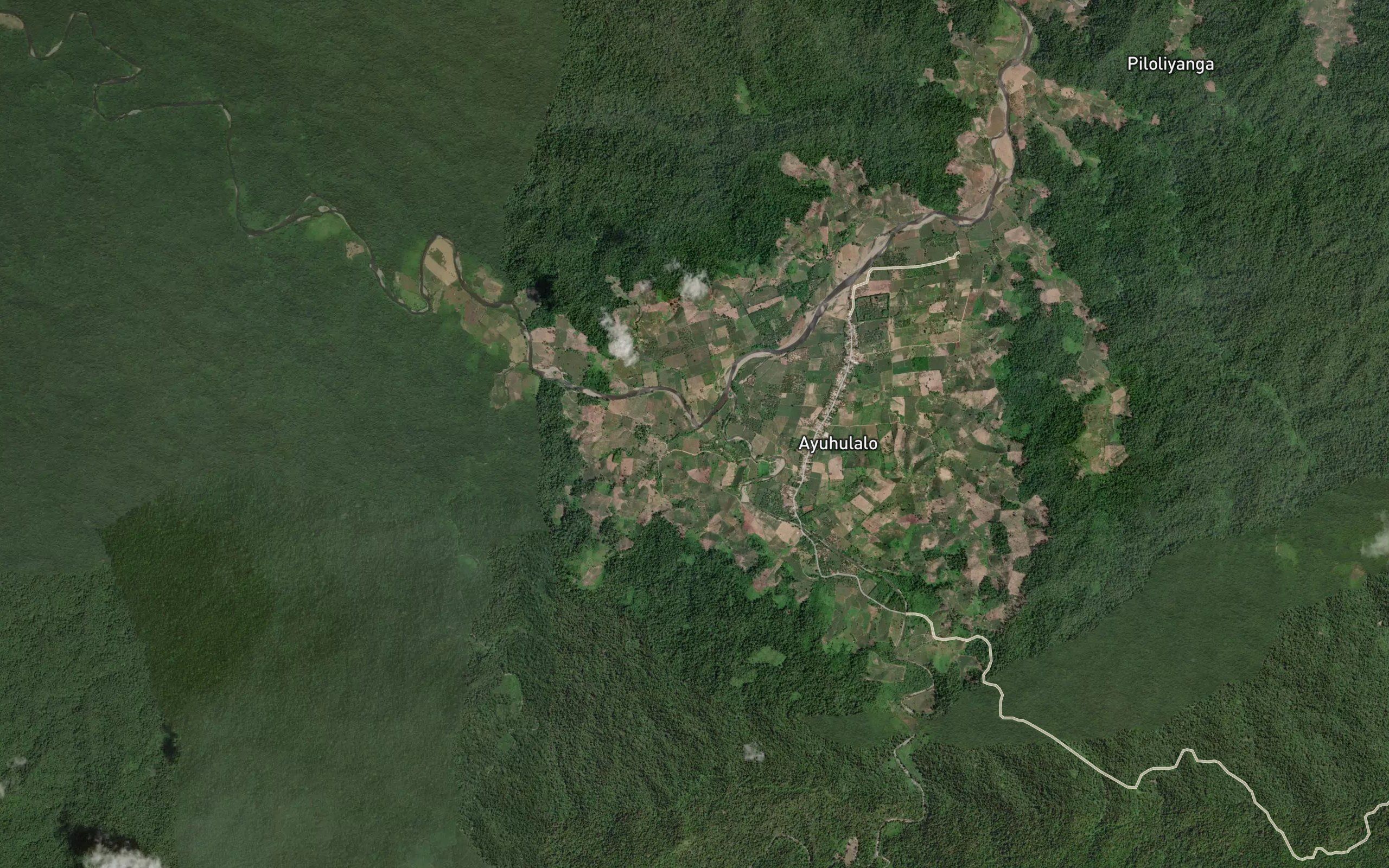 Dutula Bongodaata