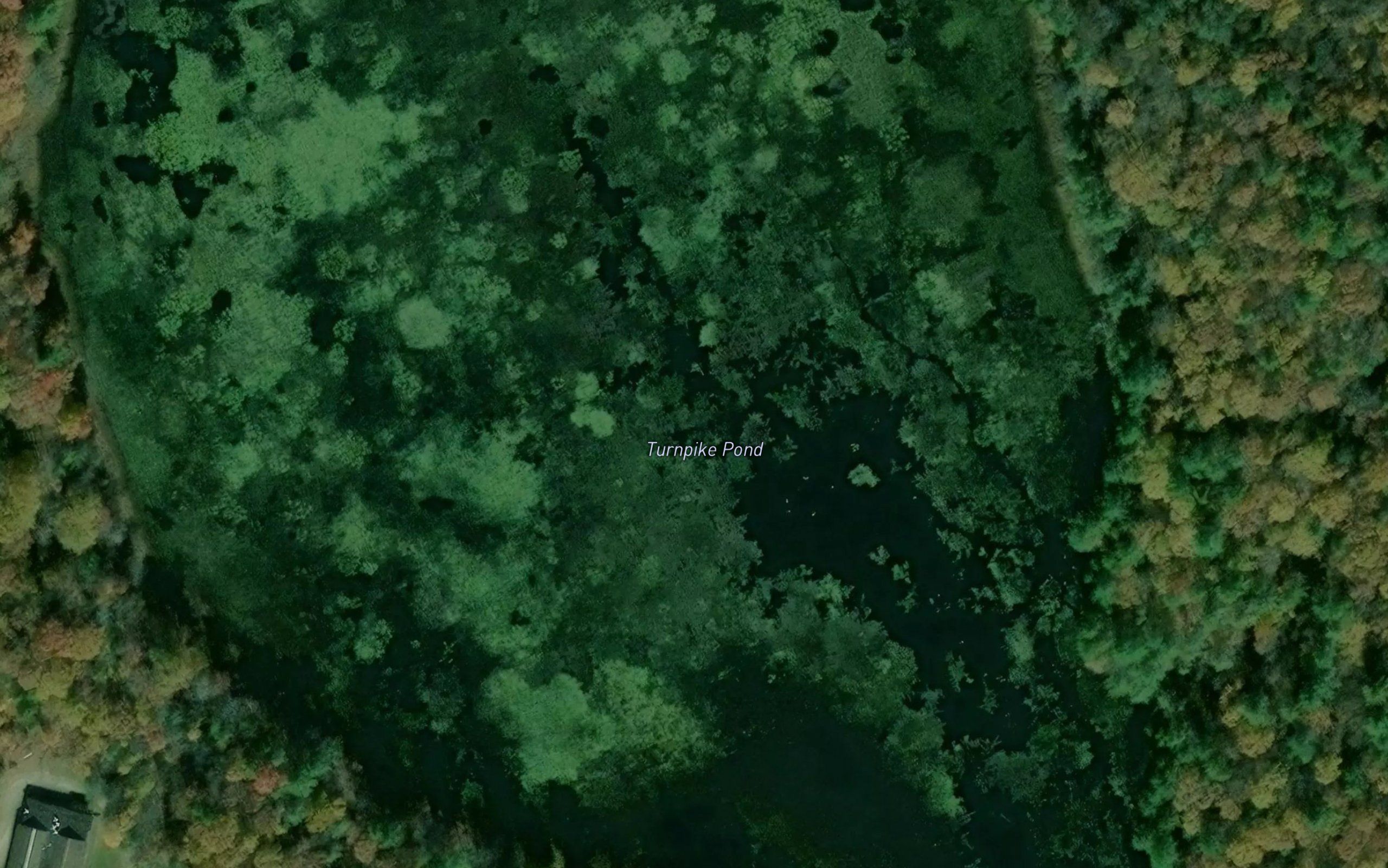 Turnpike Pond