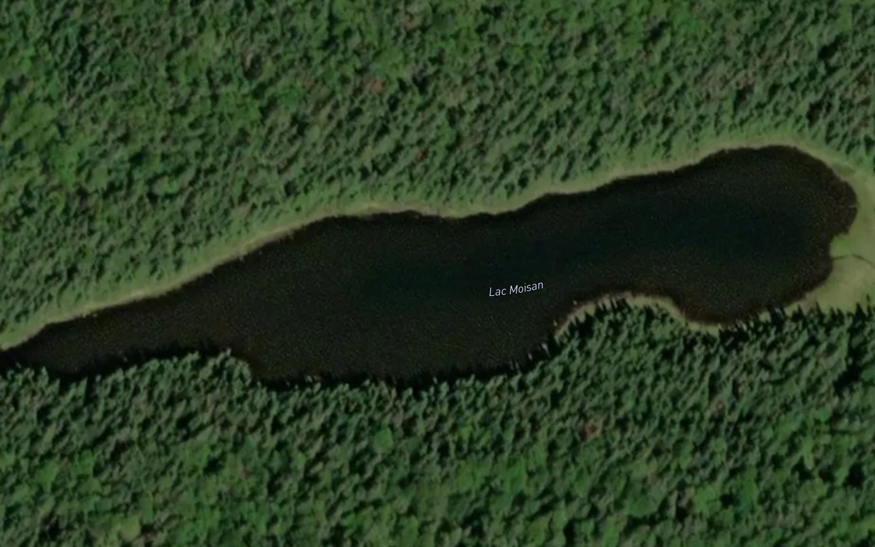 Satellite map of the Lac Moisan