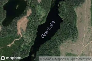 Deer Lake