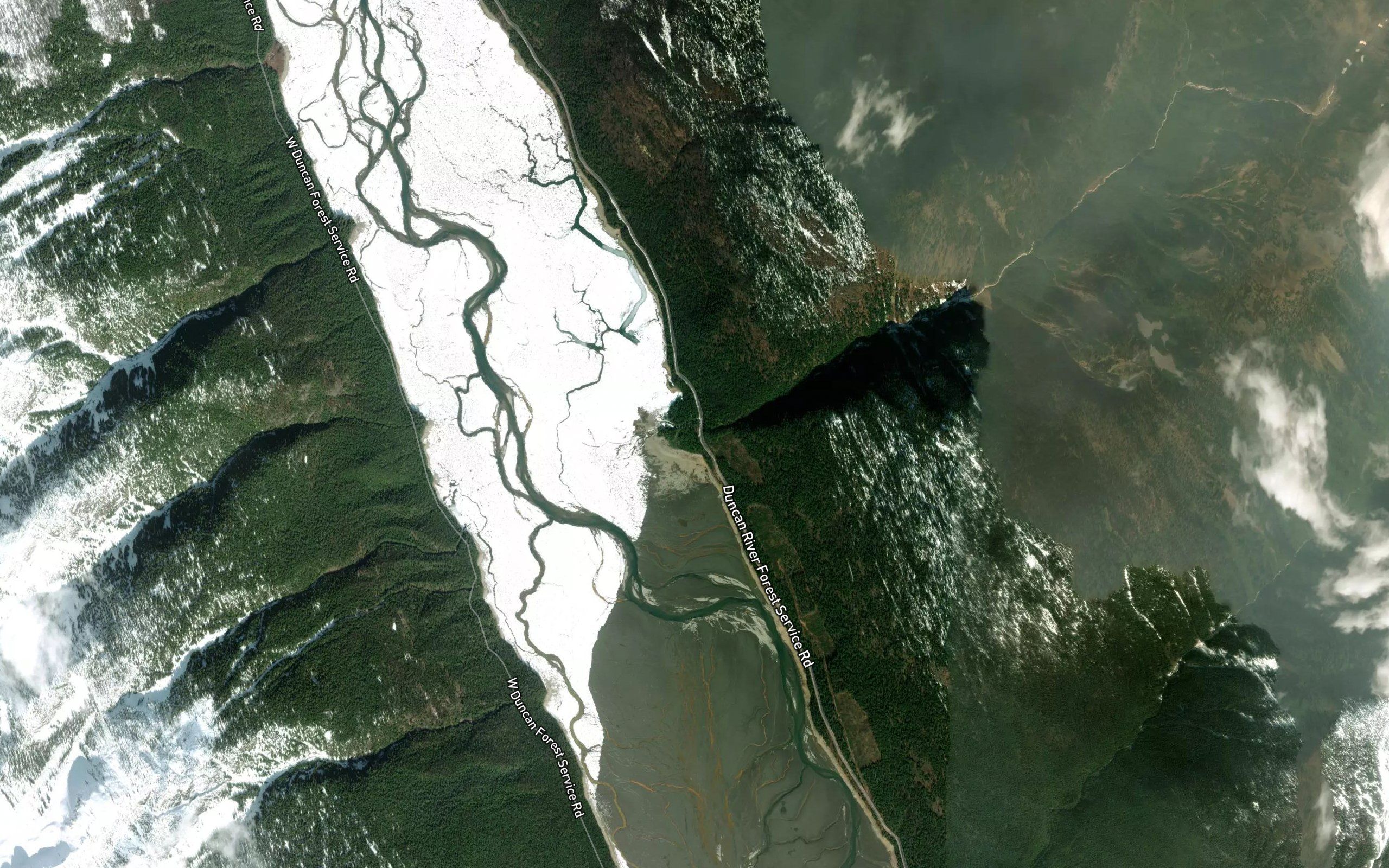 Cockle Creek