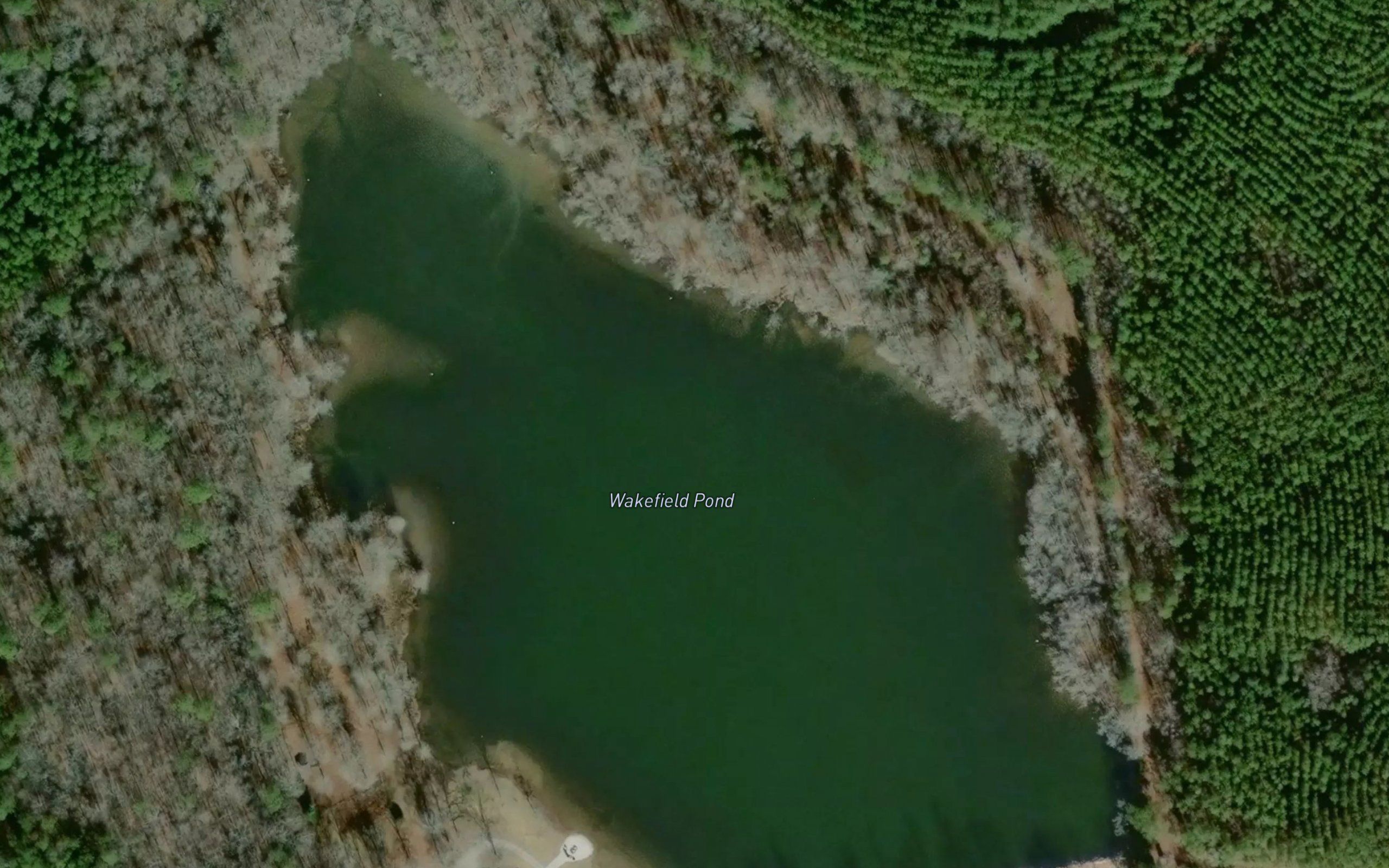 Wakefield Pond