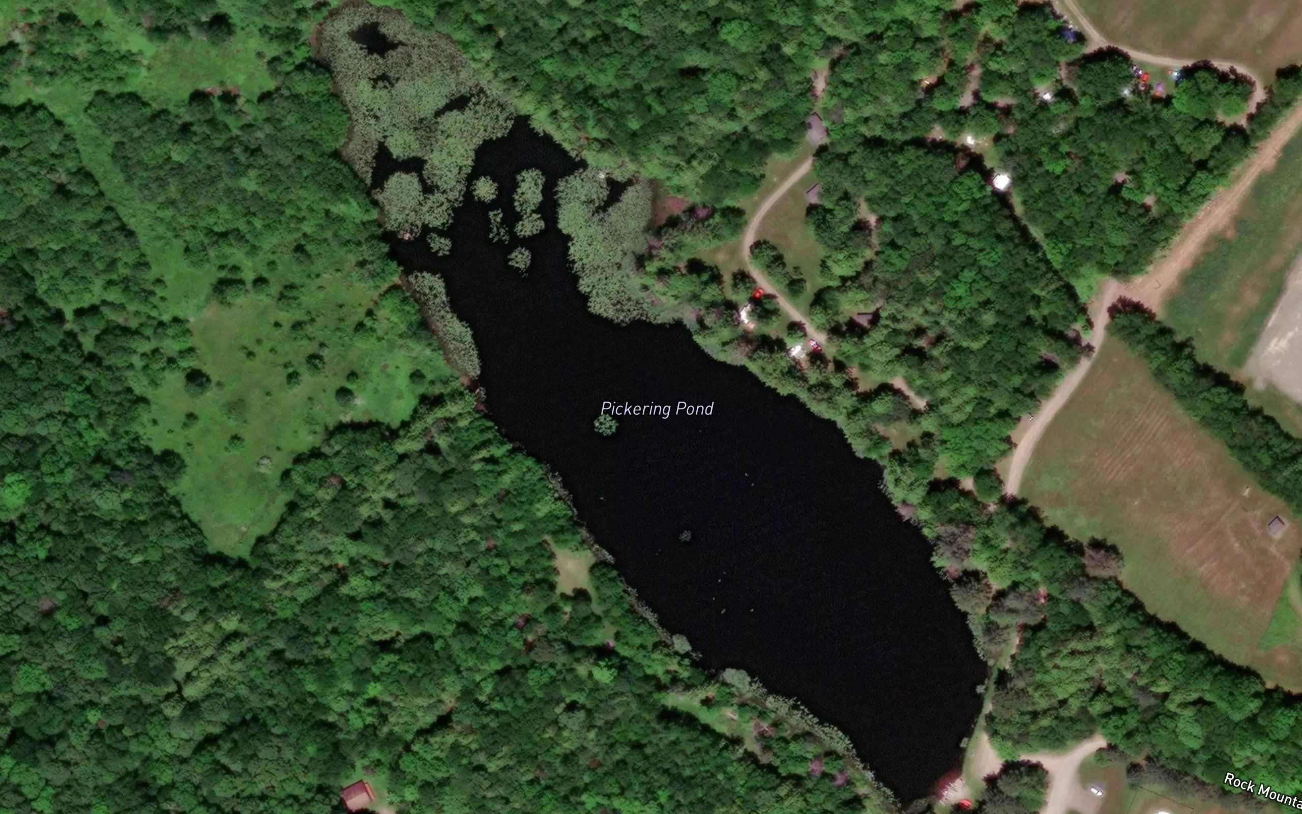 Pickering Pond