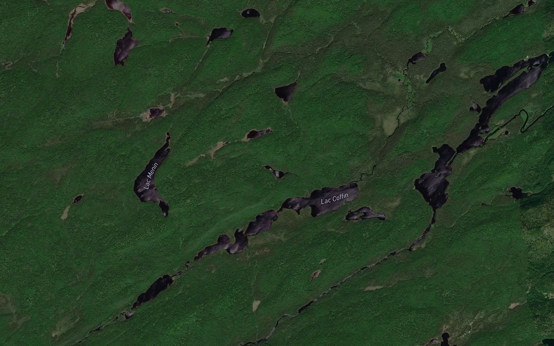Satellite map of the Lac de la Libellule