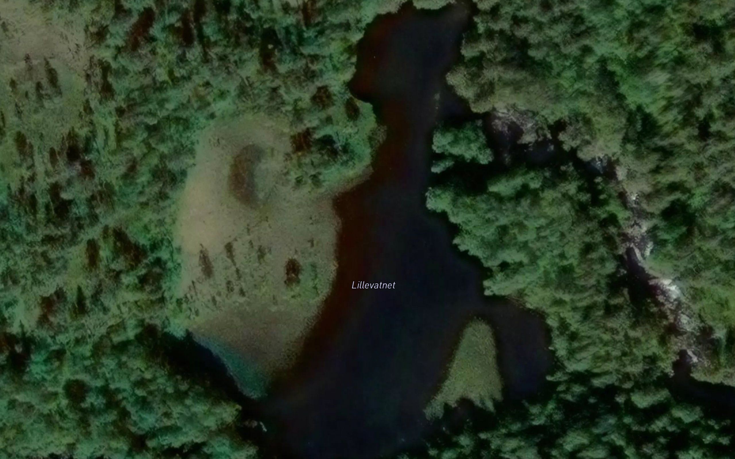 Litltjorna
