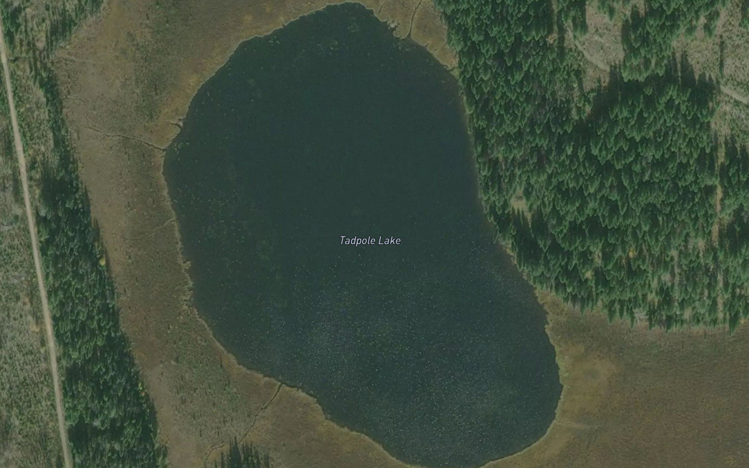 Tadpole Lake