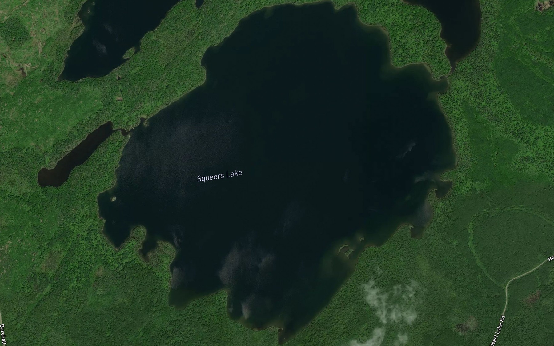 Satellite map of the Squeers Lake