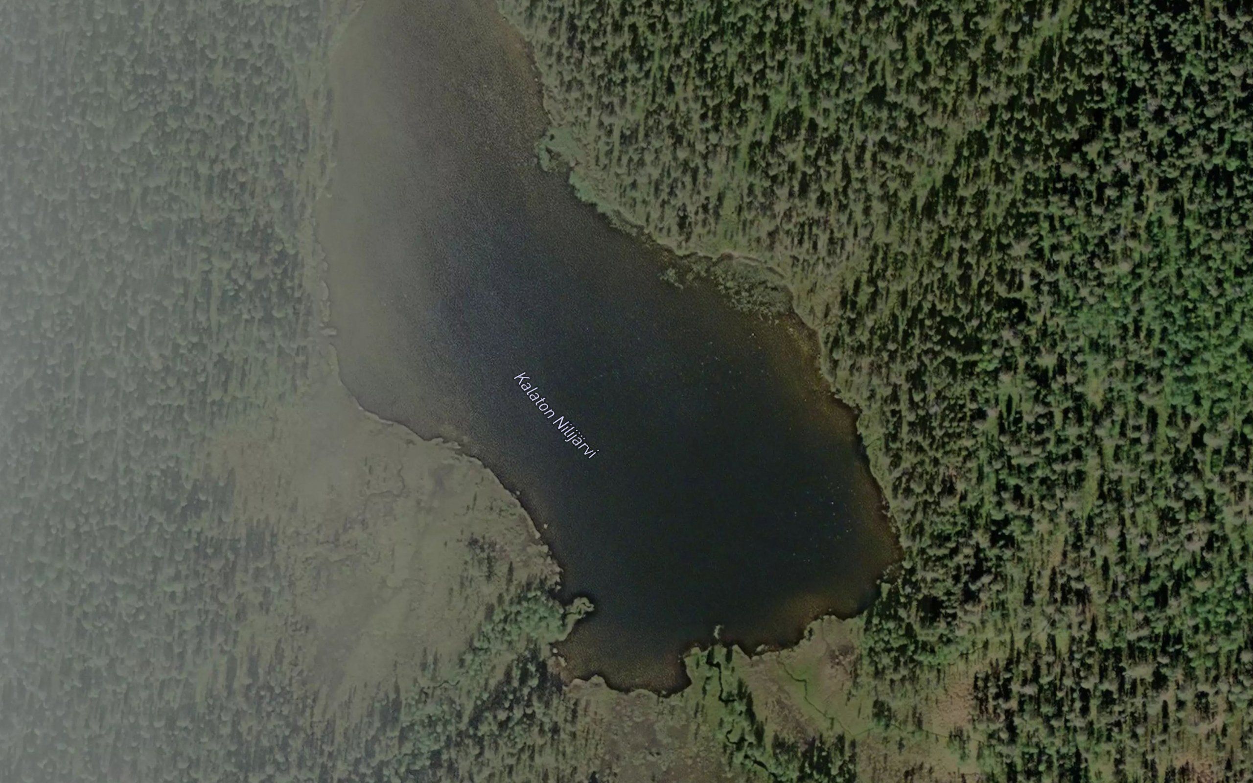 Kyelettemes Njolasjavri