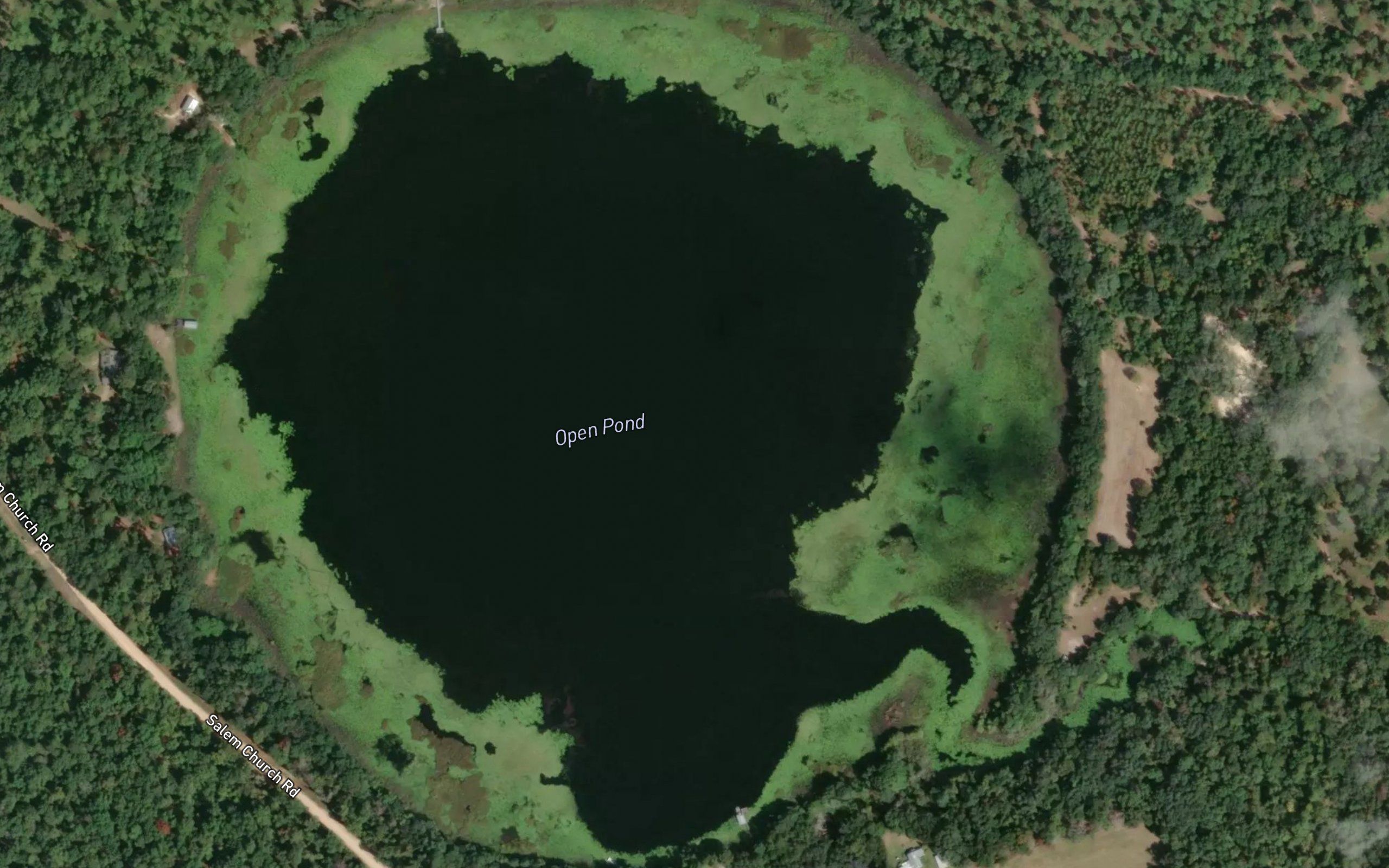 Open Pond