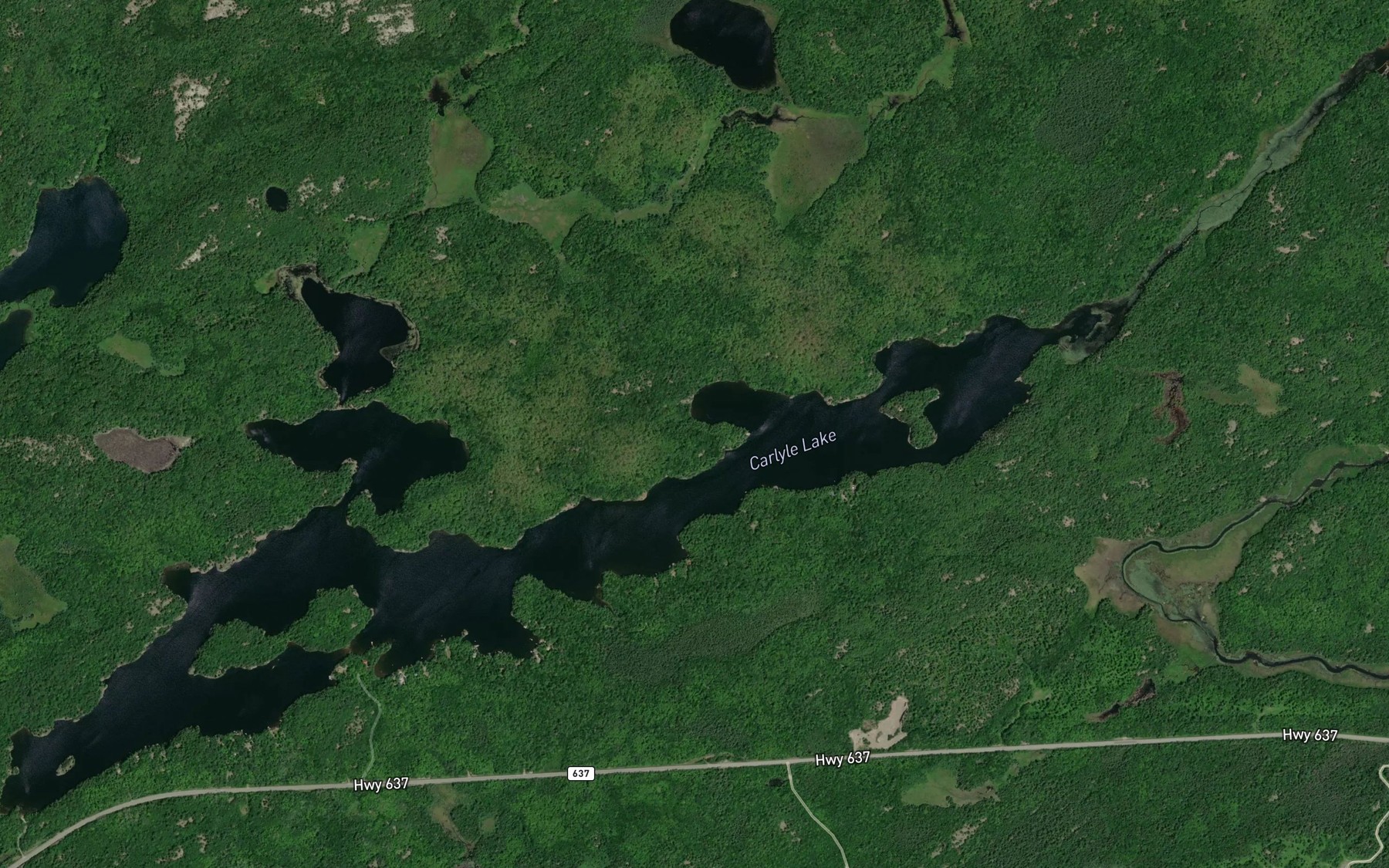 Satellite map of the Carlyle Lake