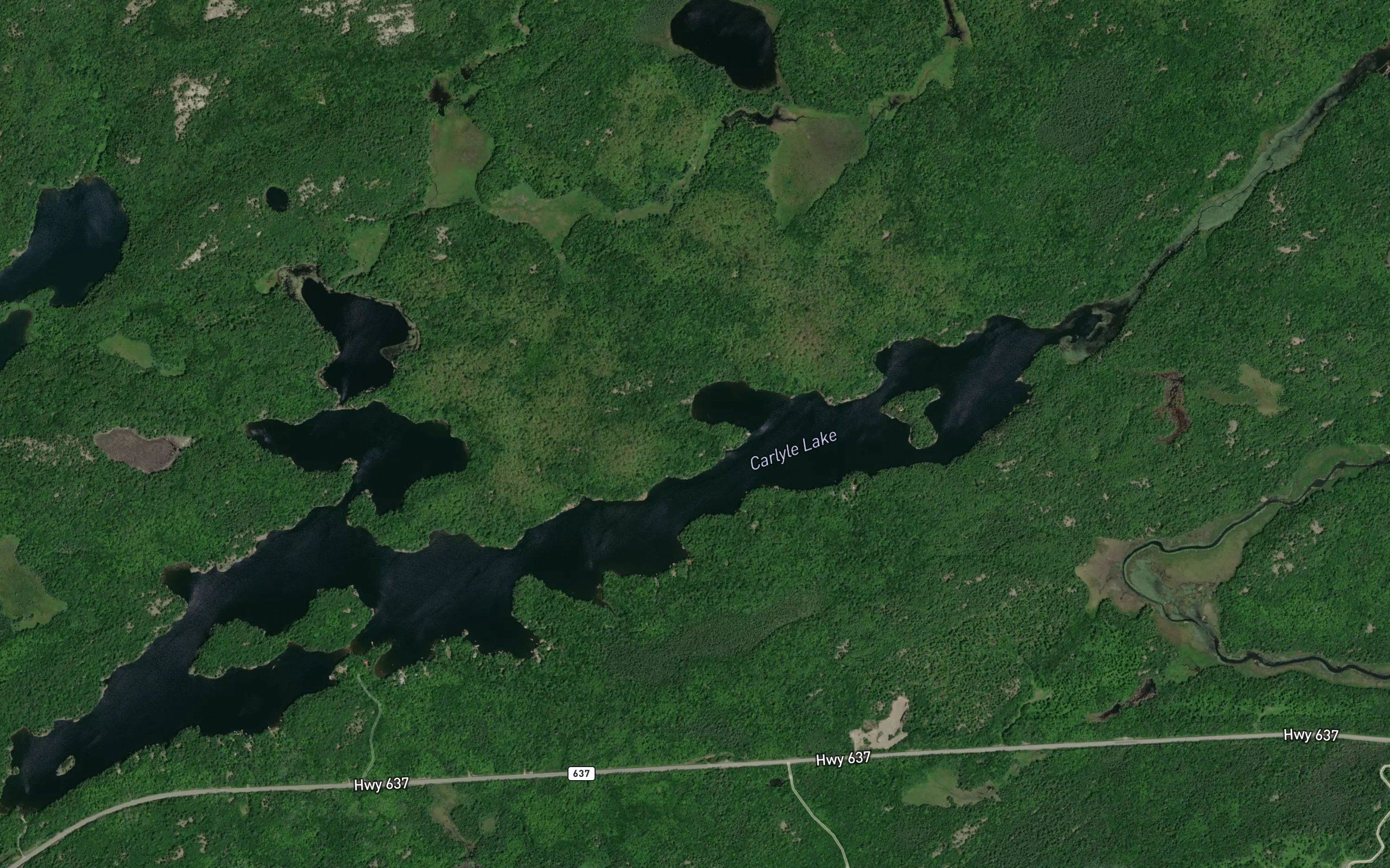 Carlyle Lake