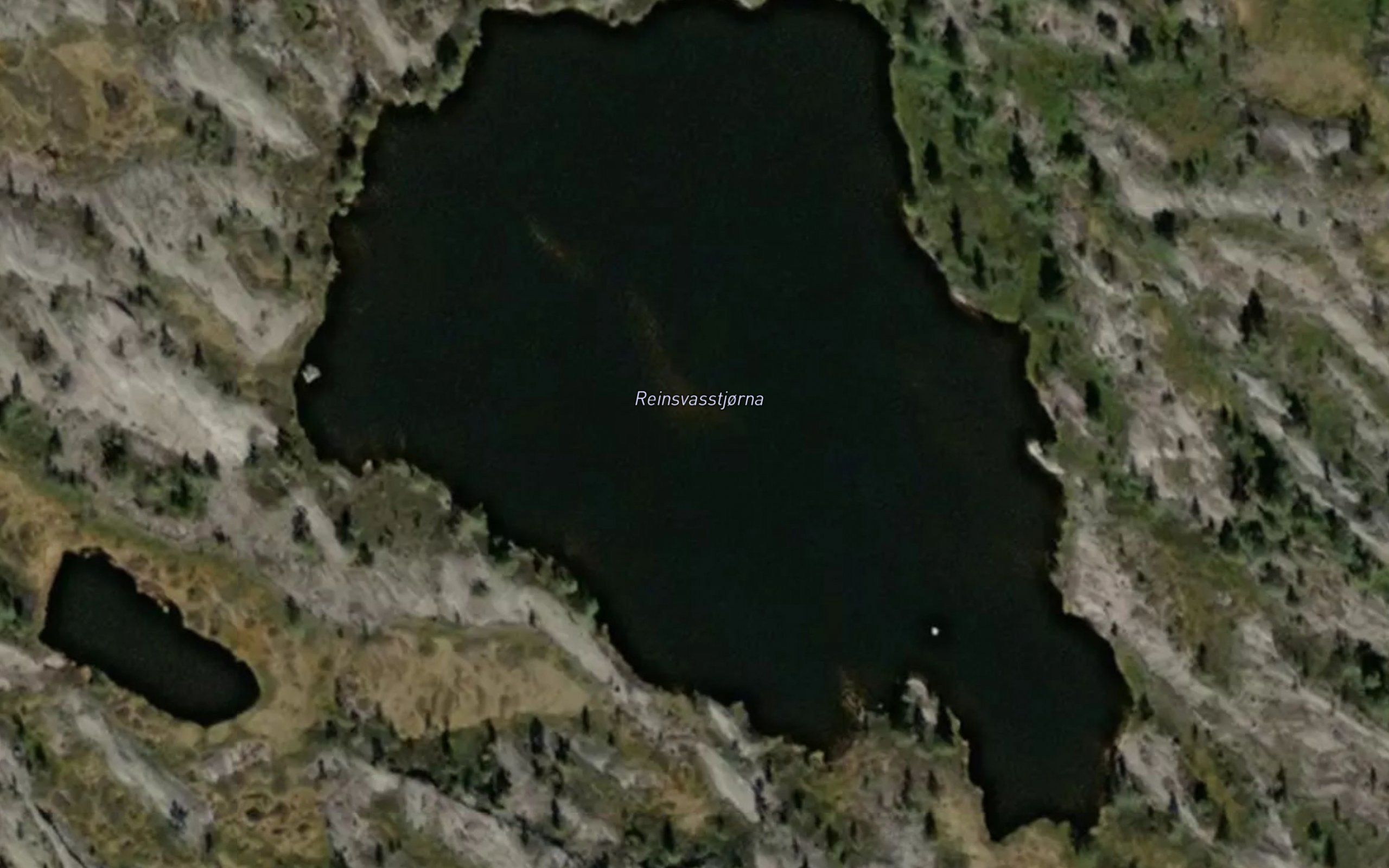 Reinsvasstjorna