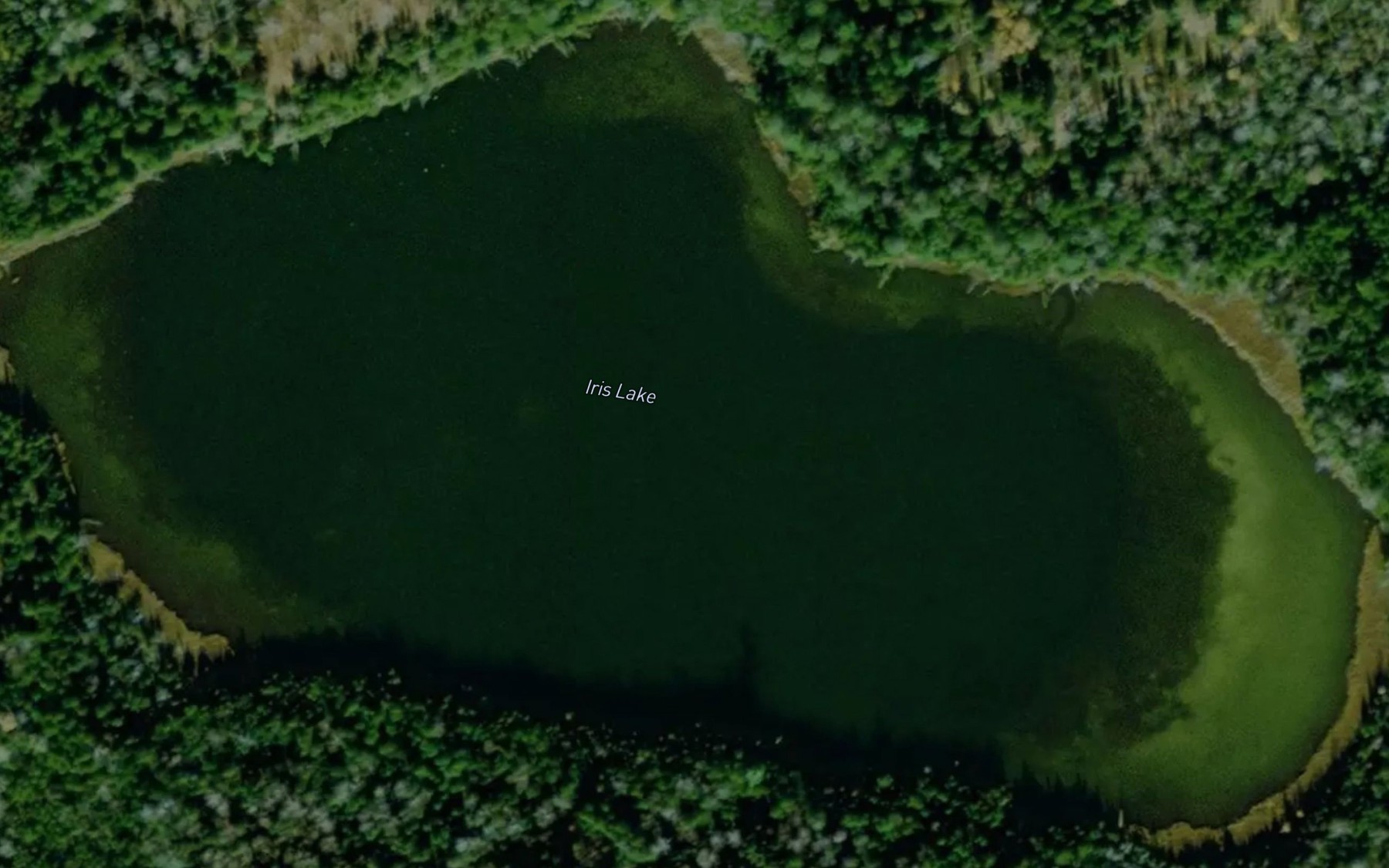 Satellite map of the Iris Lake