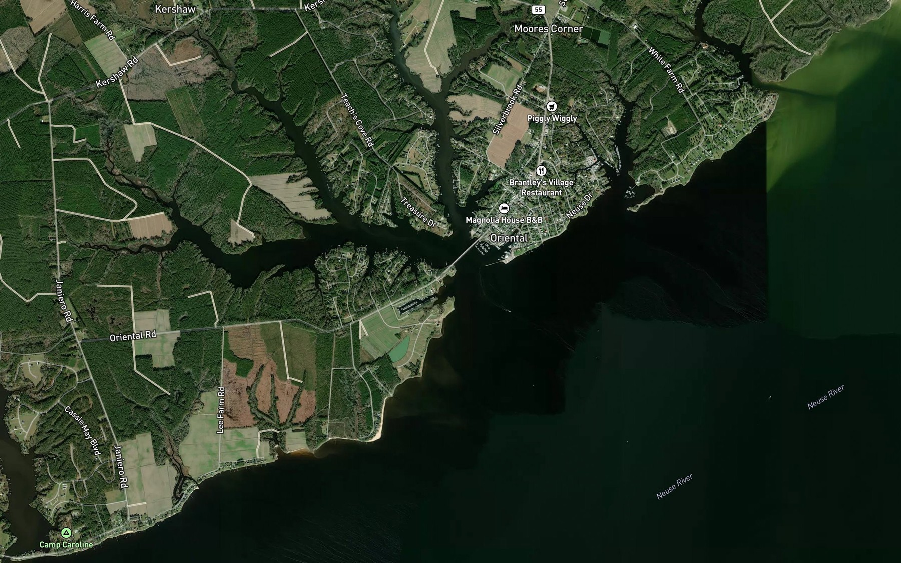 Satellite map of the Shop Gut