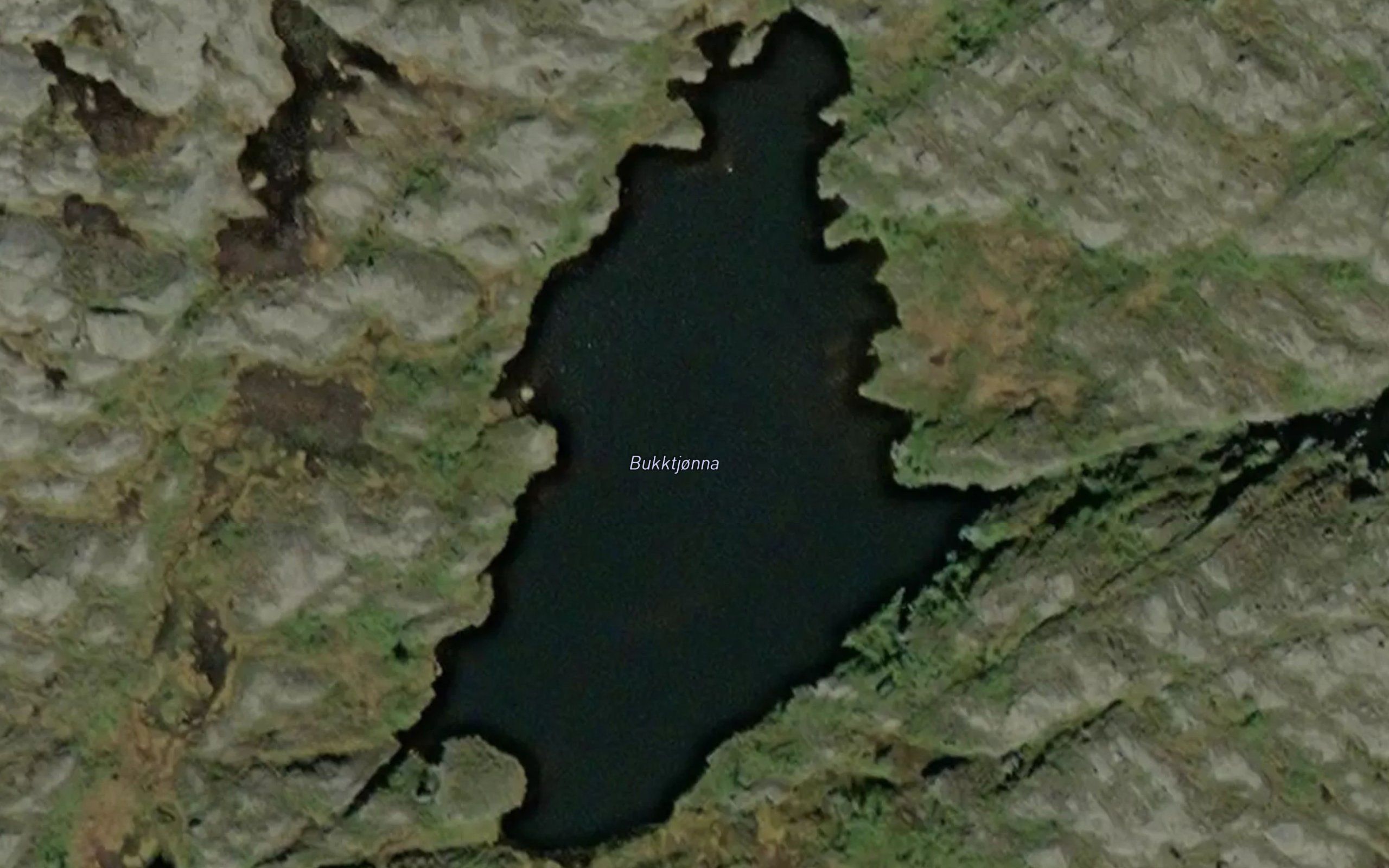 Bukktjorna