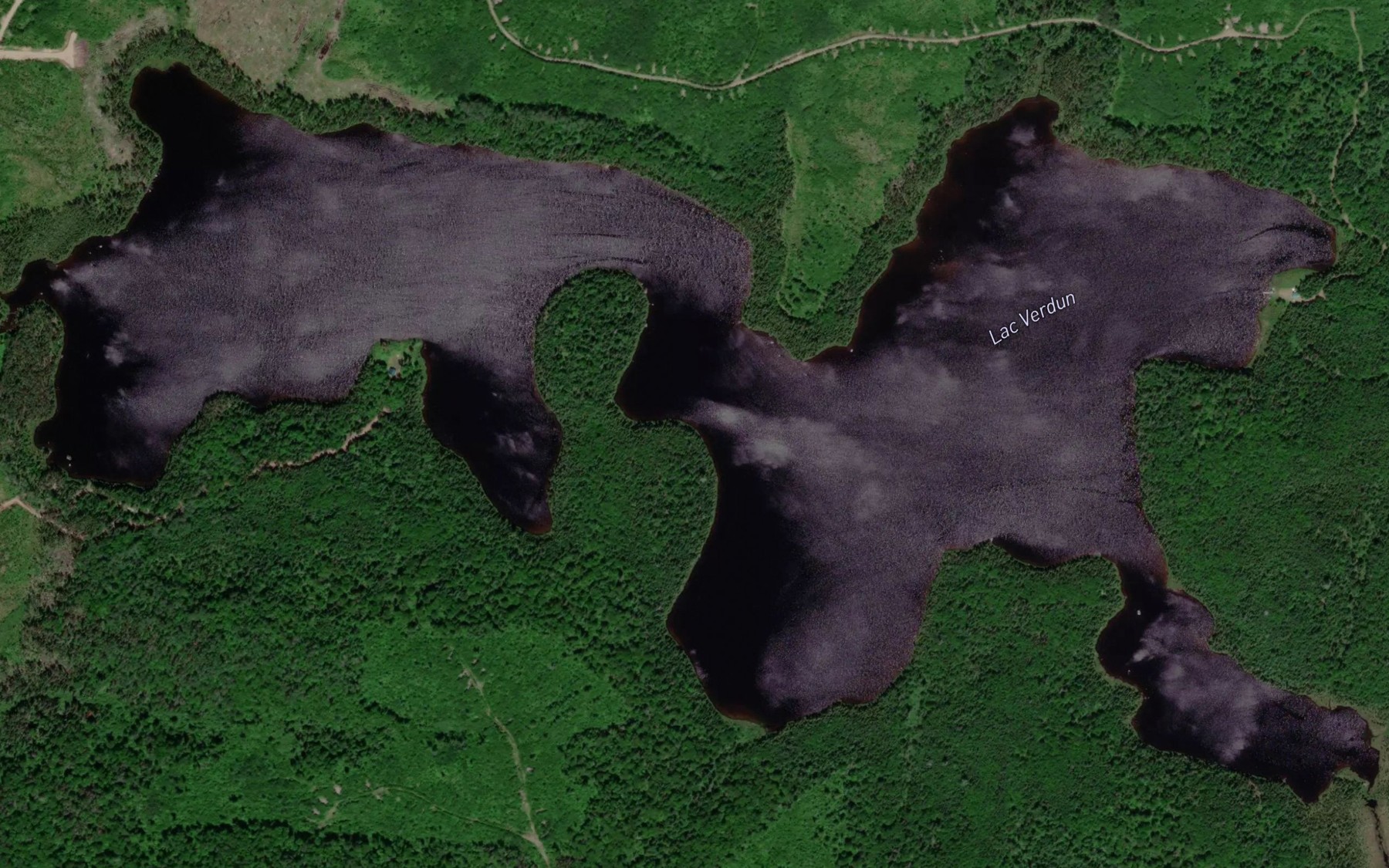 Satellite map of the Lac Verdun